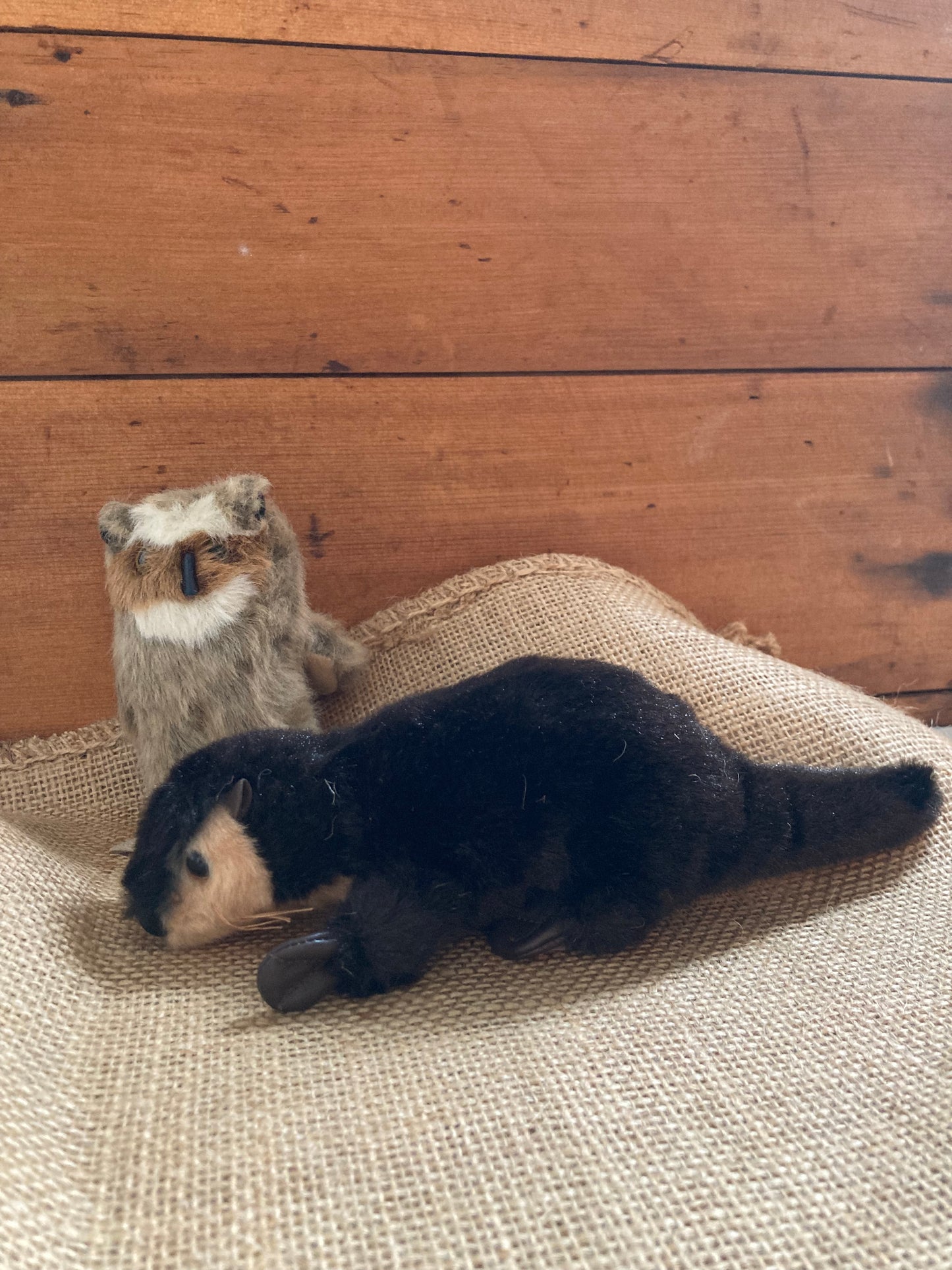 Soft Toy Finger Puppet - RIVER OTTER