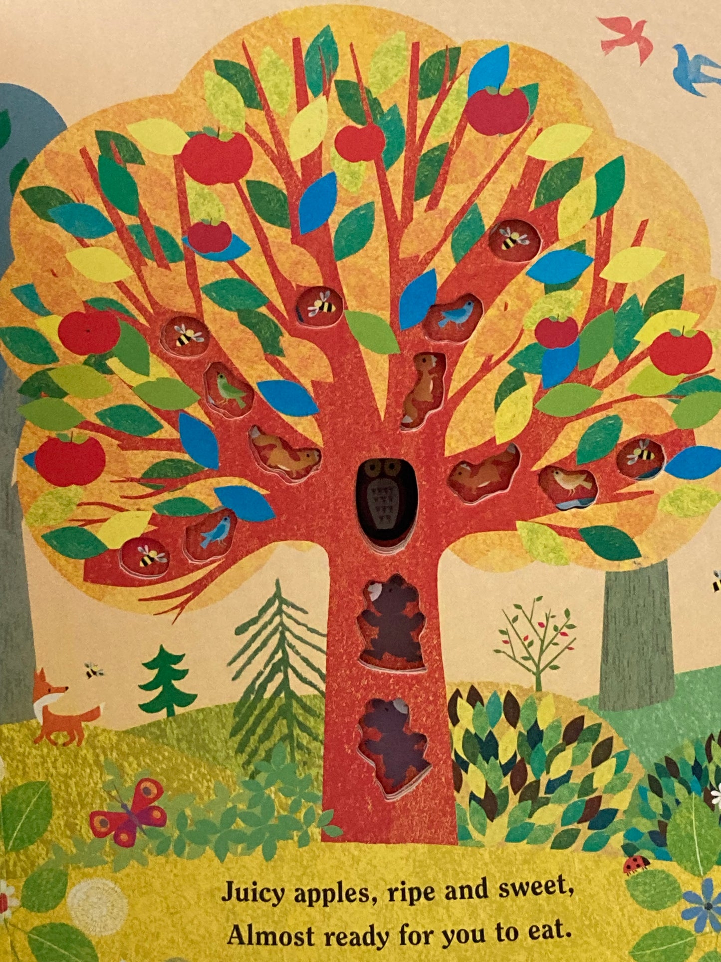 Board Book, Baby - TREE, with cut-outs