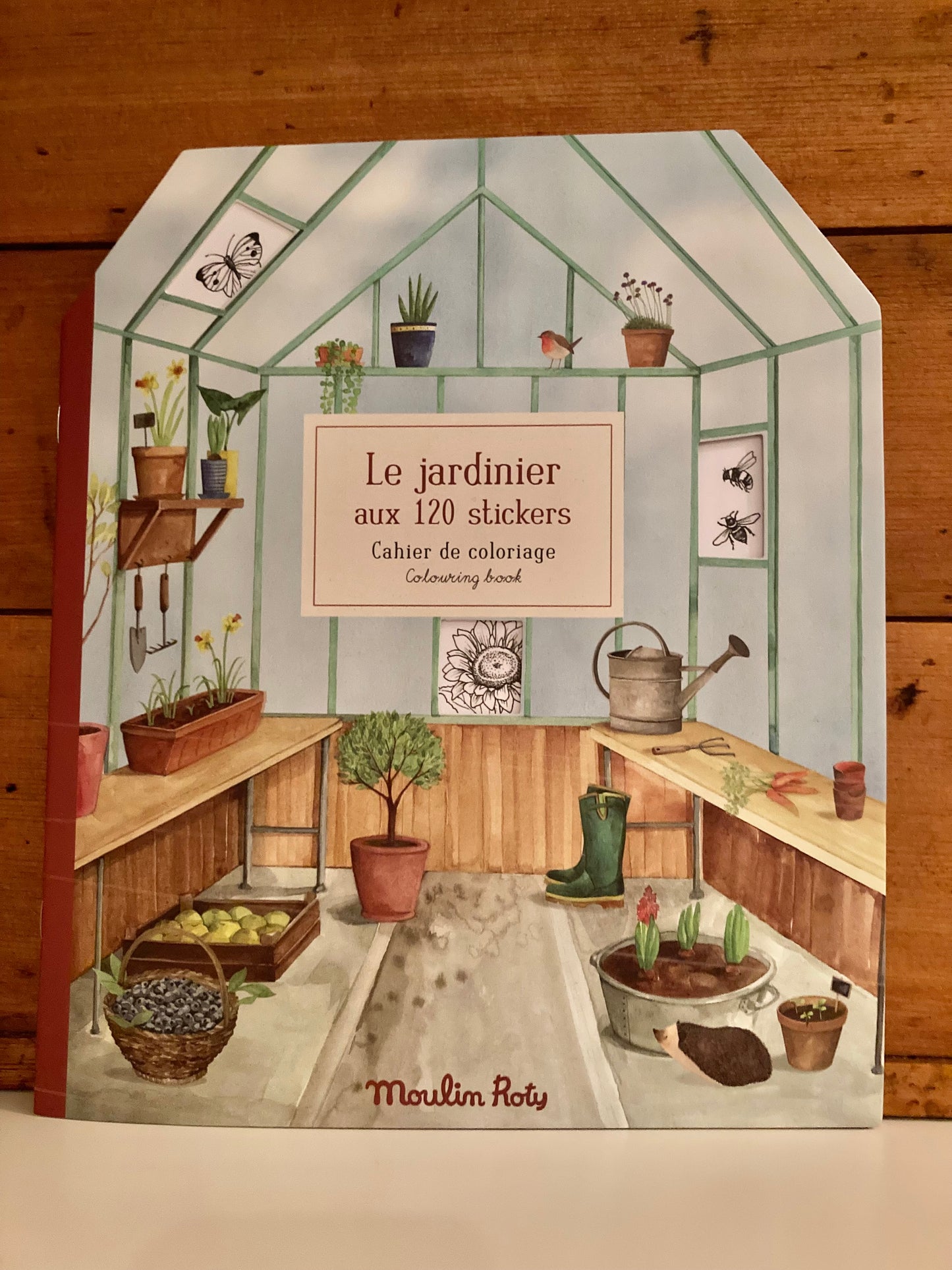 Art Activity Set - "TO THE GARDEN" Colouring Book & More!