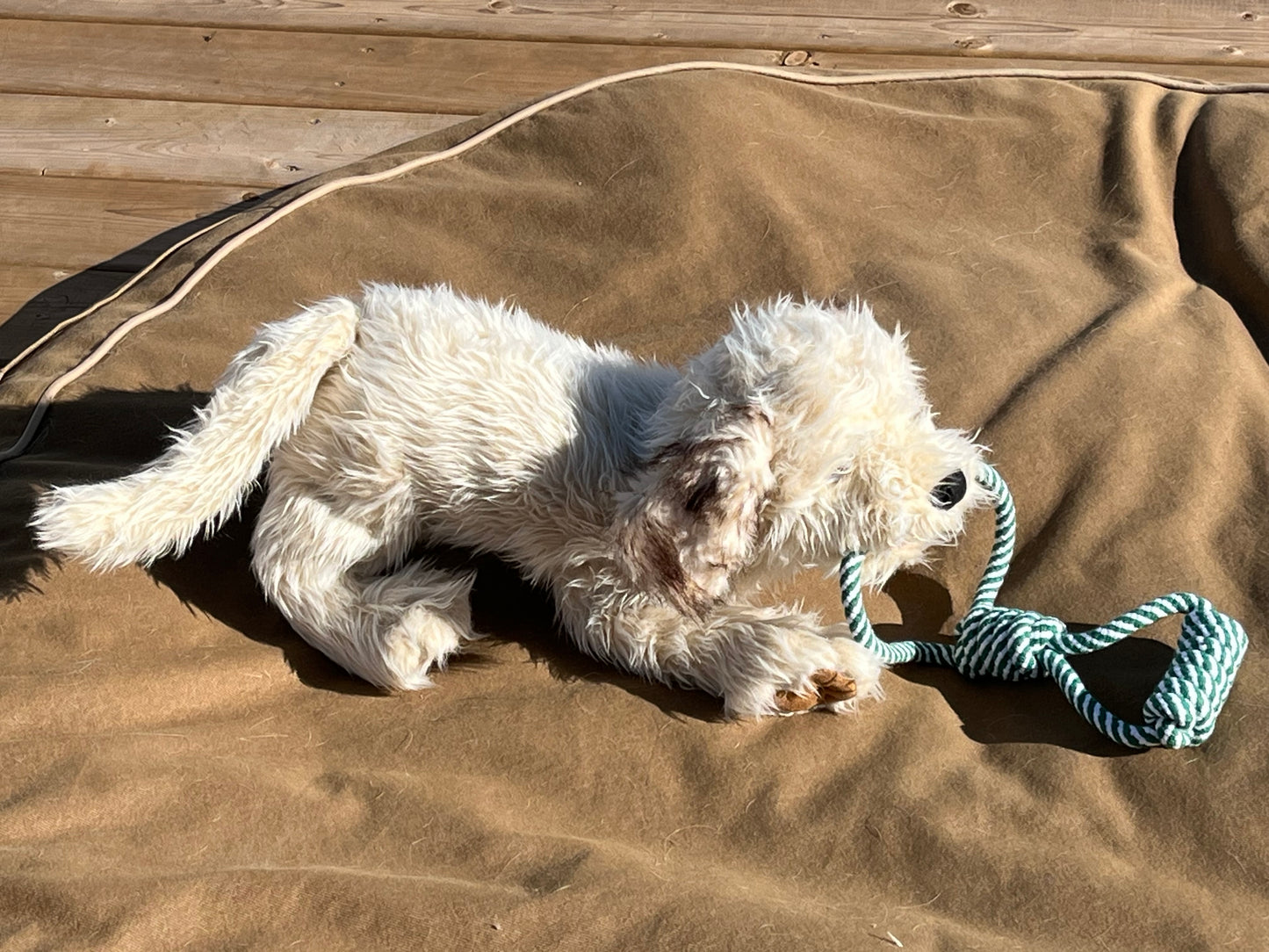 Soft Puppet Pet - LABRADOODLE PUPPY