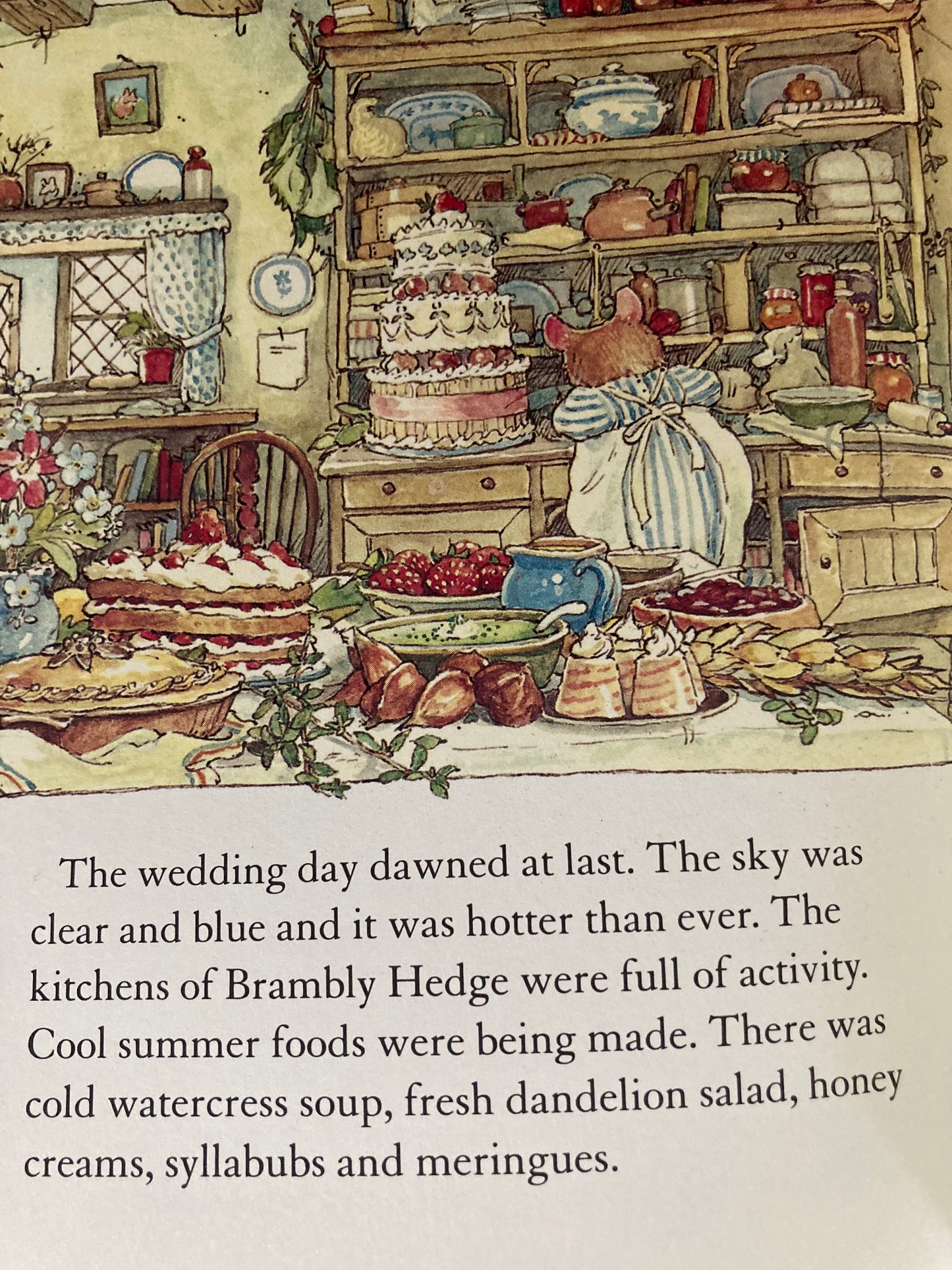 Children's Picture Book - SUMMER STORY of THE MICE OF BRAMBLY HEDGE