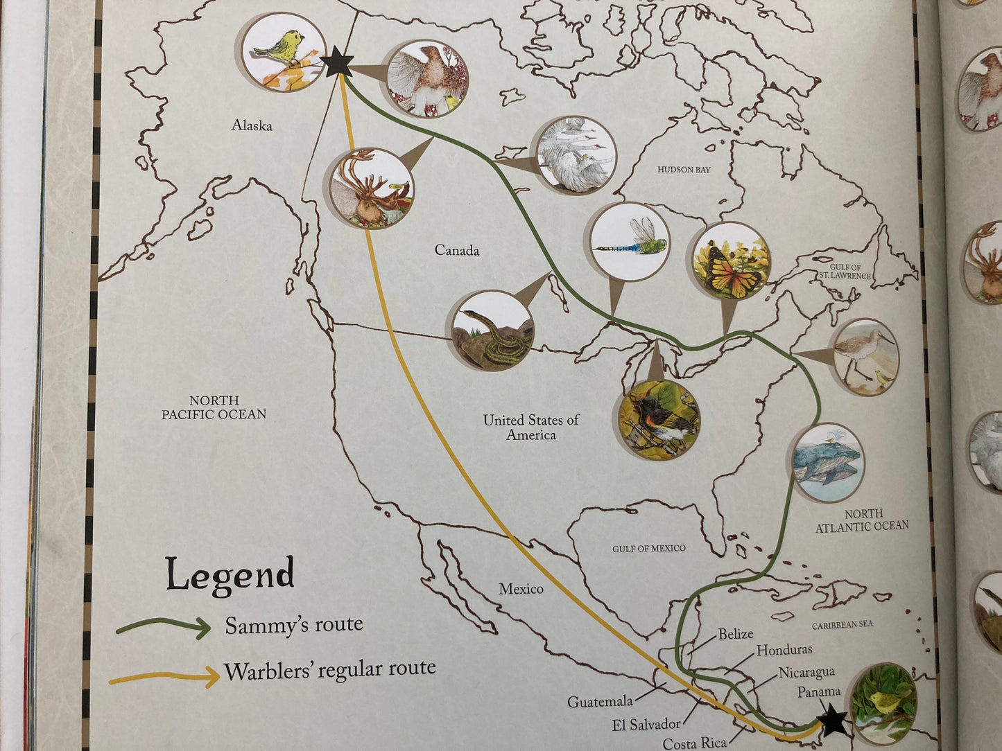Children’s Picture Book - IS THIS PANAMA? (A Migration Story)