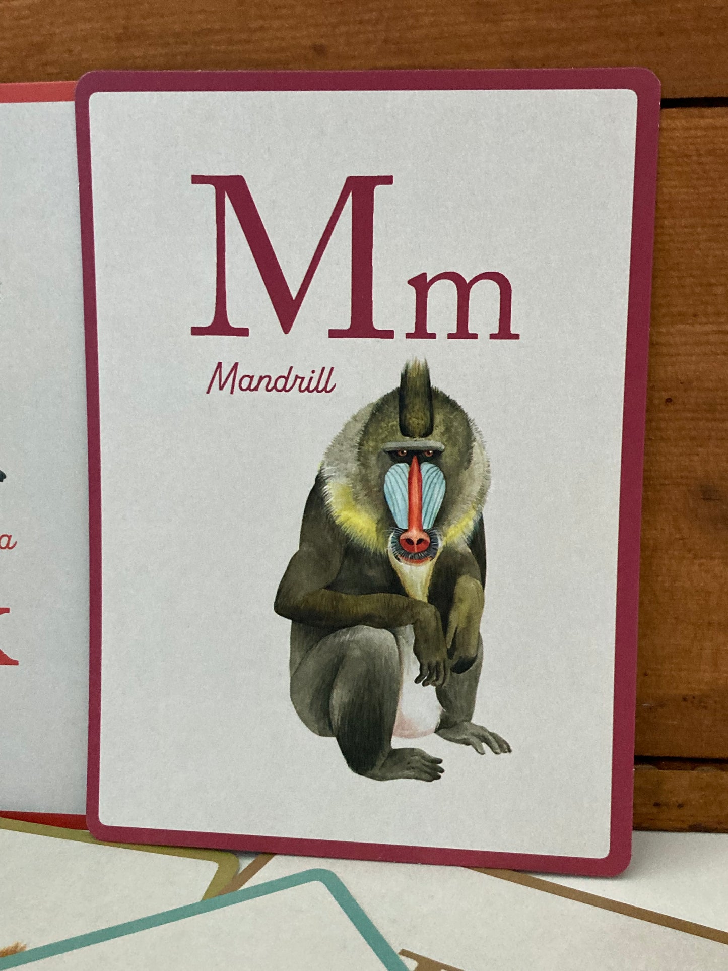 Educational Cards - ANIMAL ALPHABET ... in FRENCH!