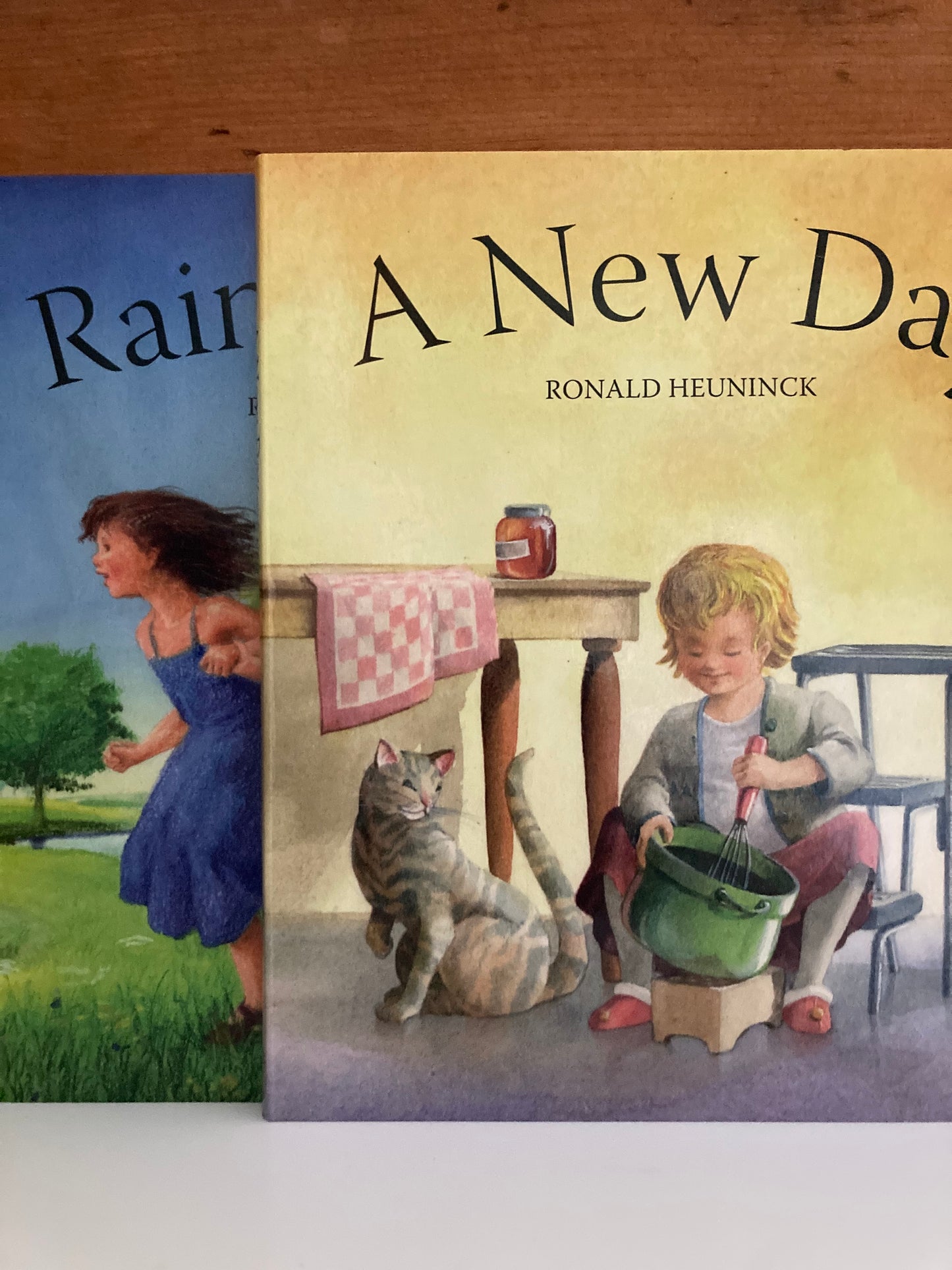 Board Book, Baby - RAIN OR SHINE /or, A NEW DAY