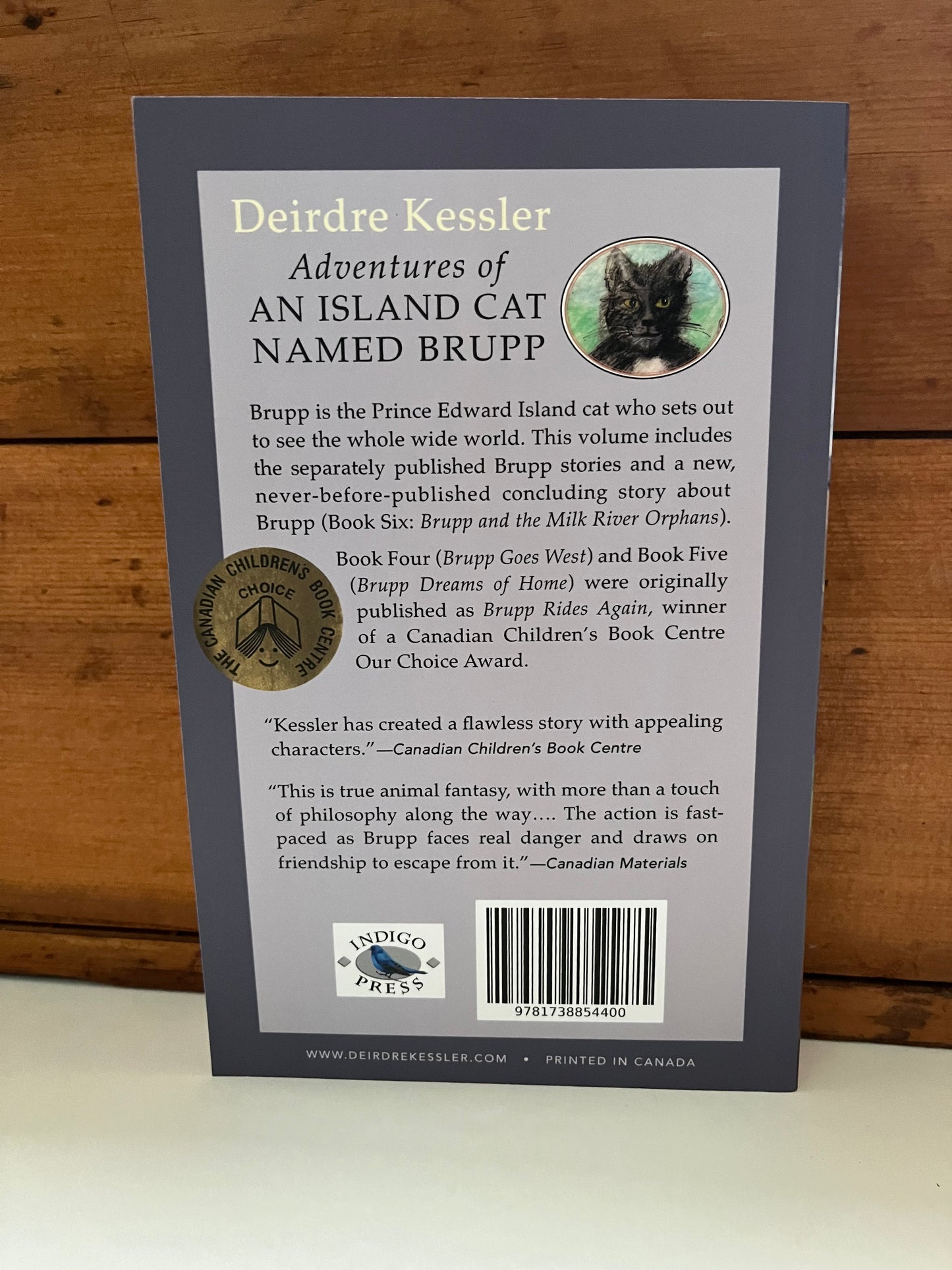 Chapter Book for Young Readers - ADVENTURES OF AN ISLAND CAT NAMED BRUPP