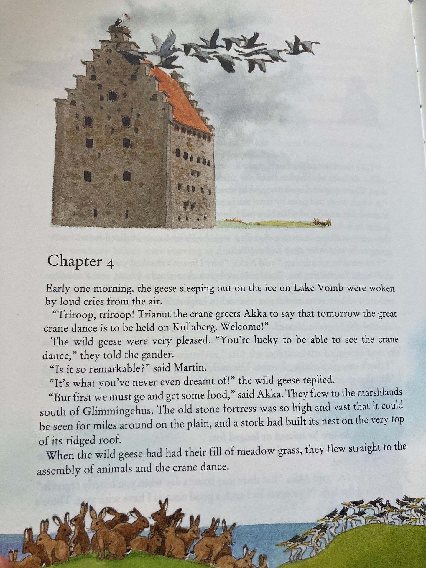 Children's Chapter Picture Book - THE WONDERFUL ADVENTURES OF NILS