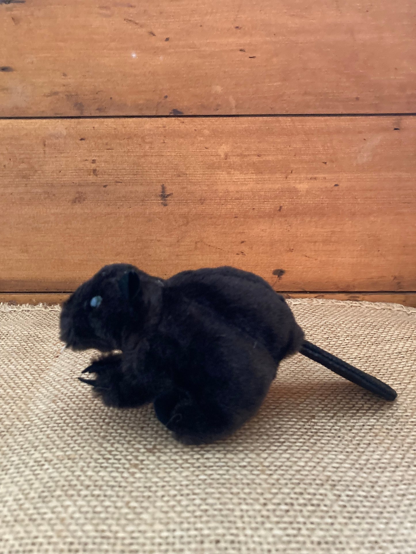Marionnette à doigt peluche - CASTOR