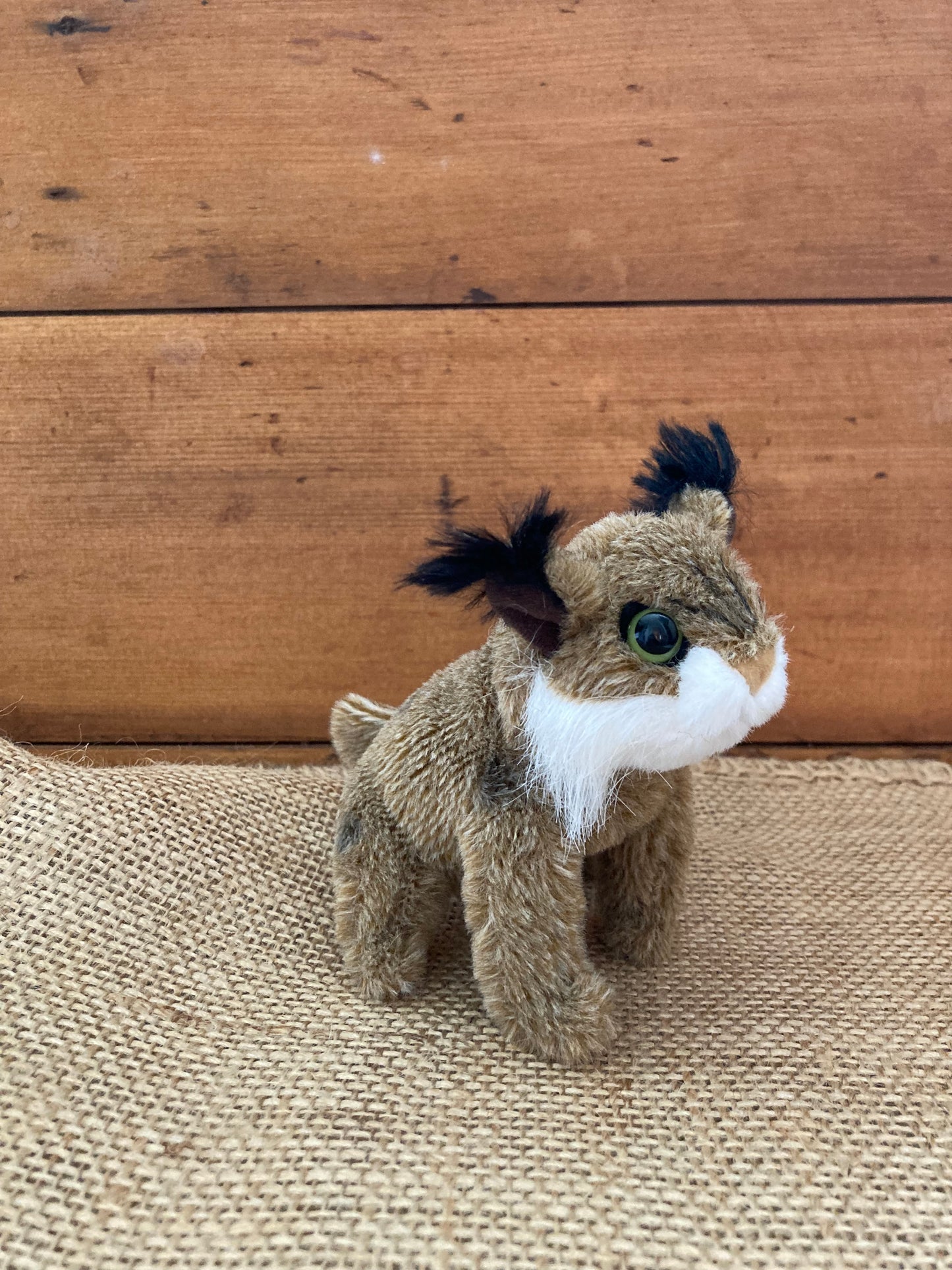 Soft Mini Puppet Set - Wild ANIMALS of ATLANTIC MARITIME FORESTS