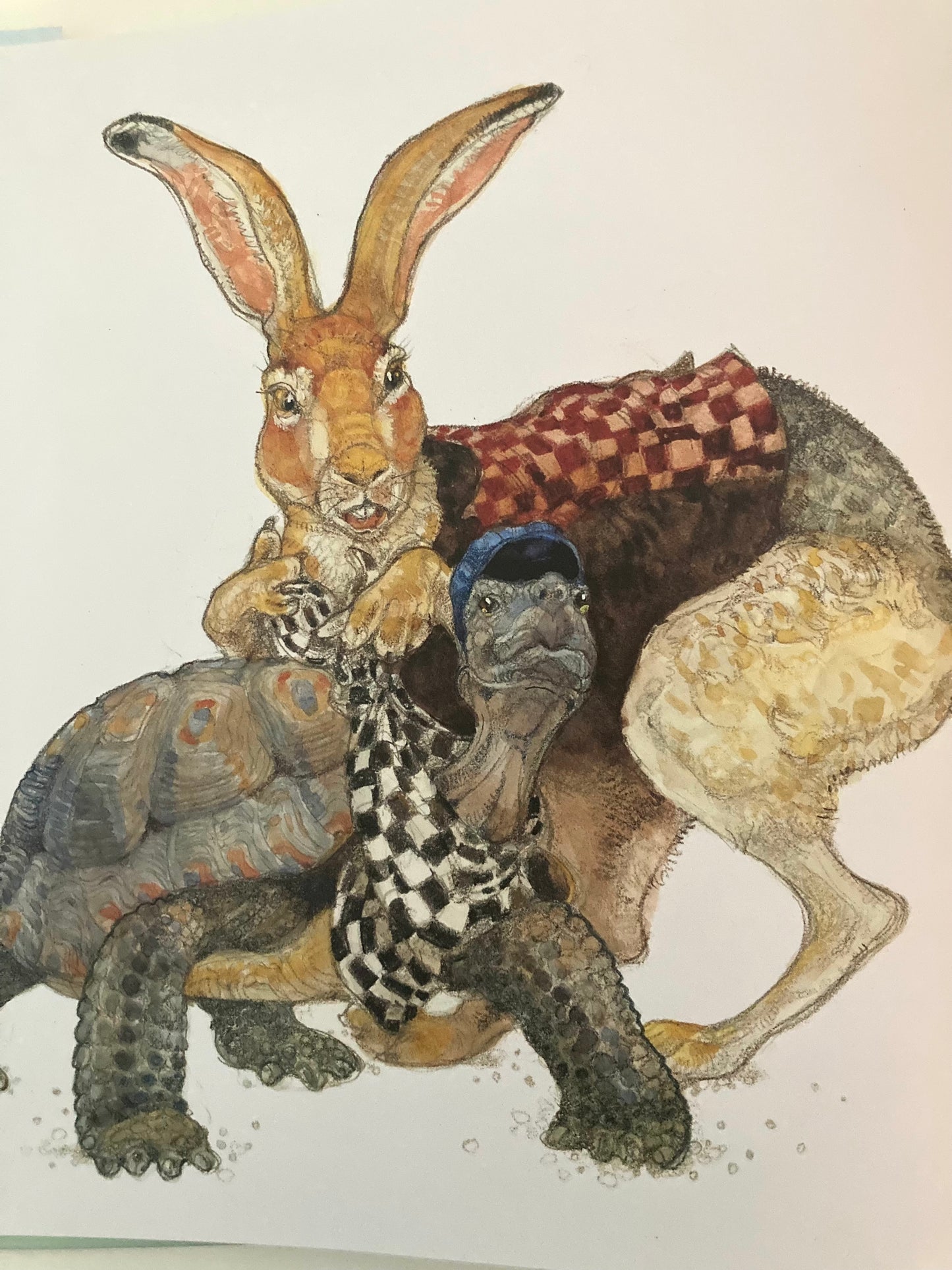 Contes et fables pour enfants - LA TORTUE ET LE LIÈVRE