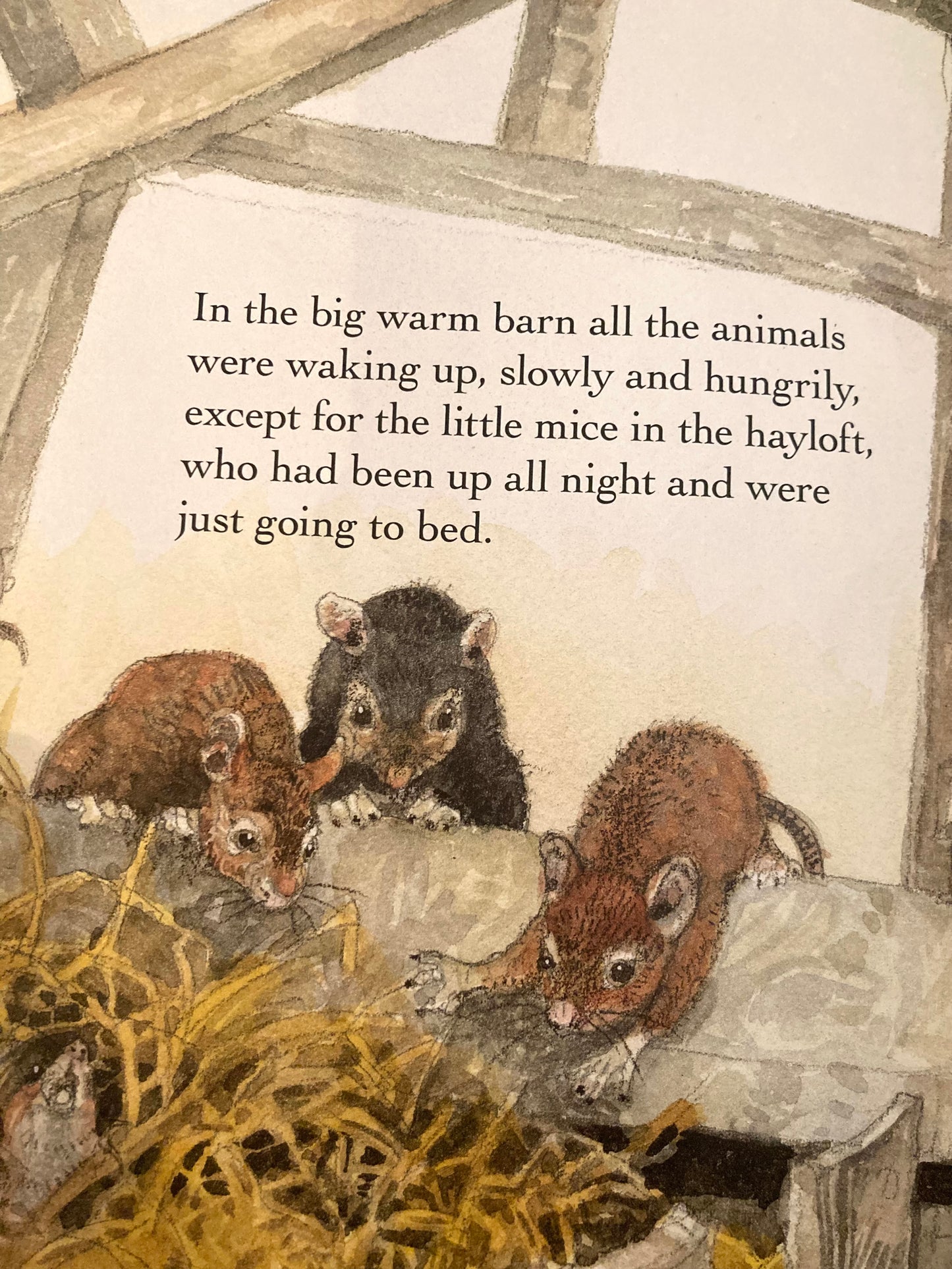 Children’s Picture Book - A HOME IN THE BARN (on SALE!)