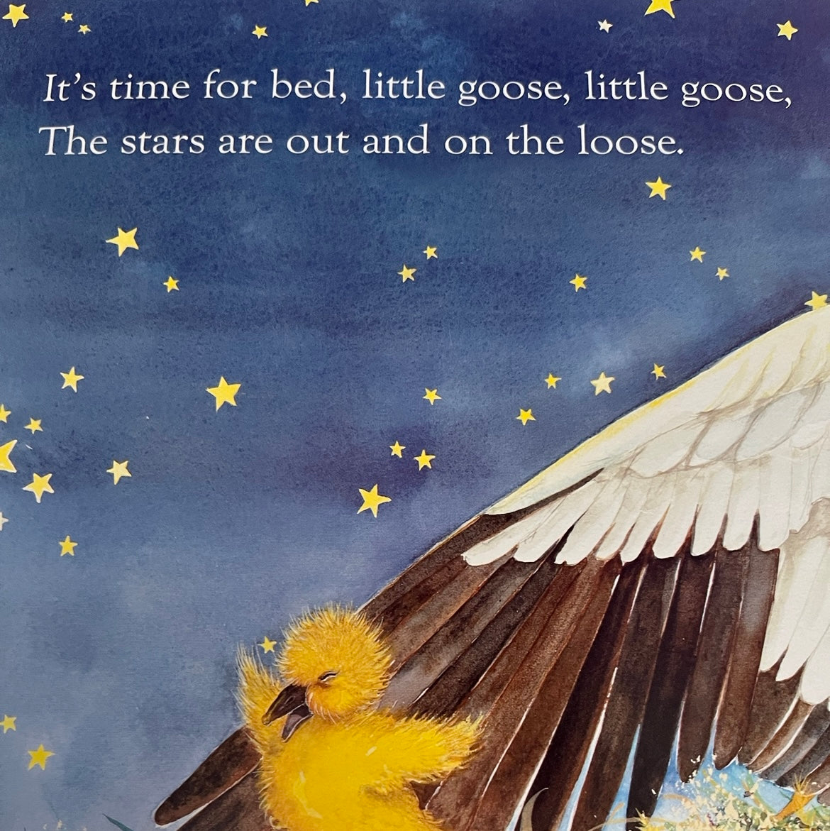 Board Book, Baby - TIME FOR BED