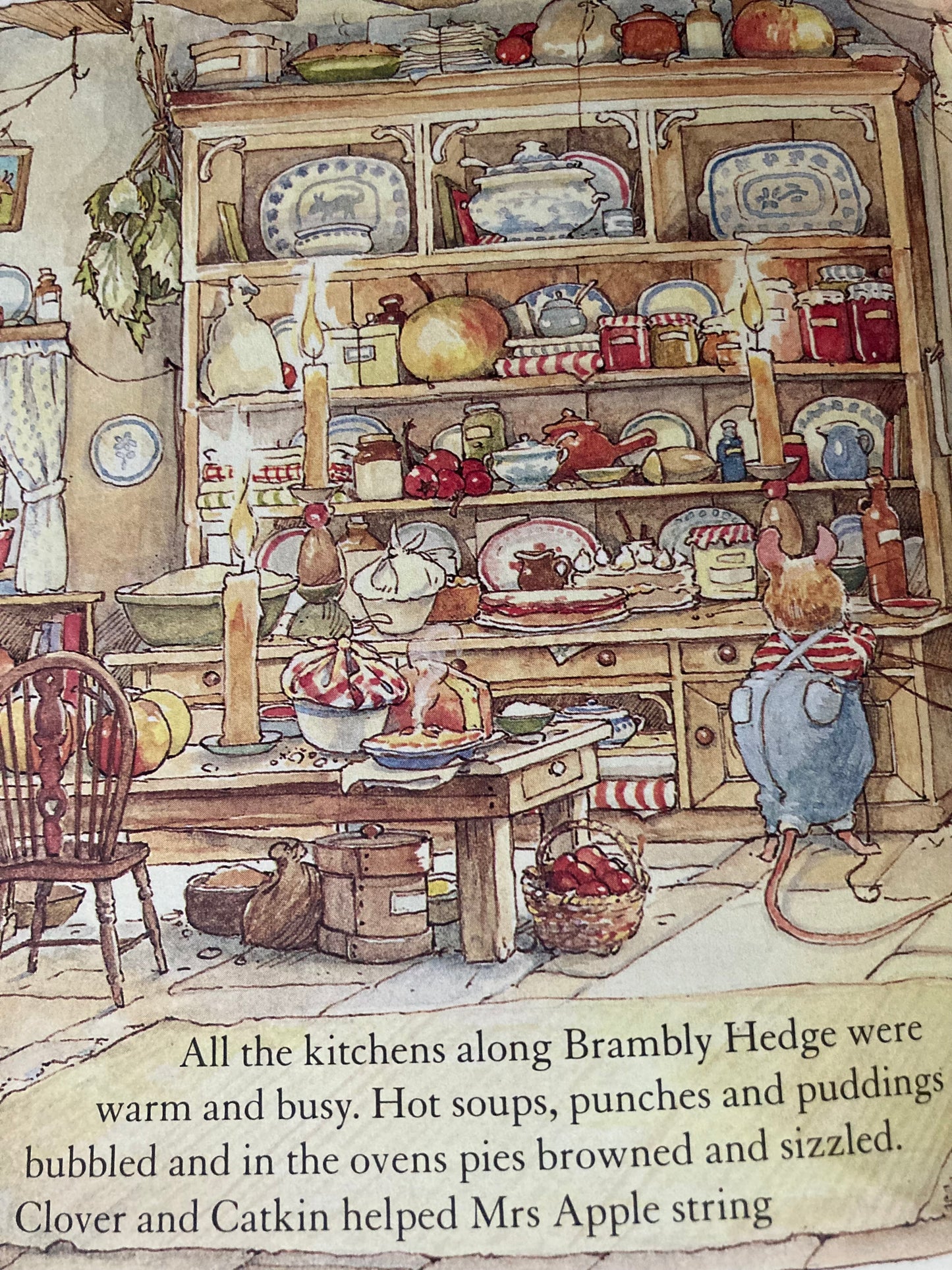 Livre d'images pour enfants - HISTOIRE D'HIVER DES SOURIS DE BRAMBLY HEDGE