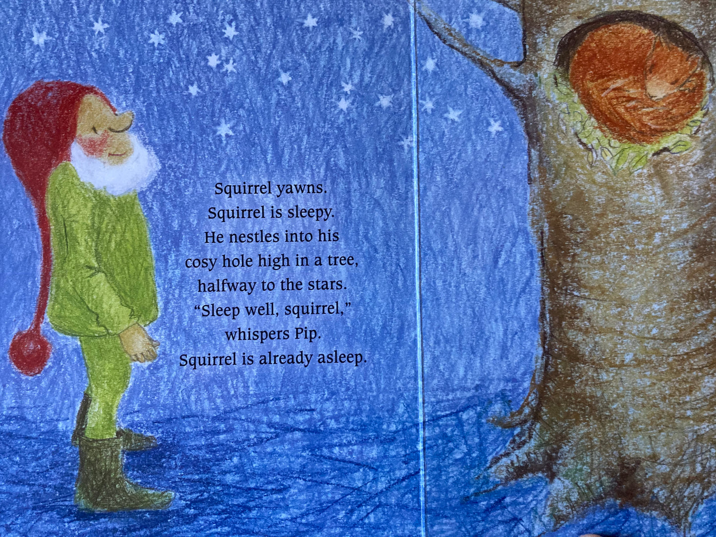 Livre cartonné, Bébé - PIP THE GNOME BOOKS