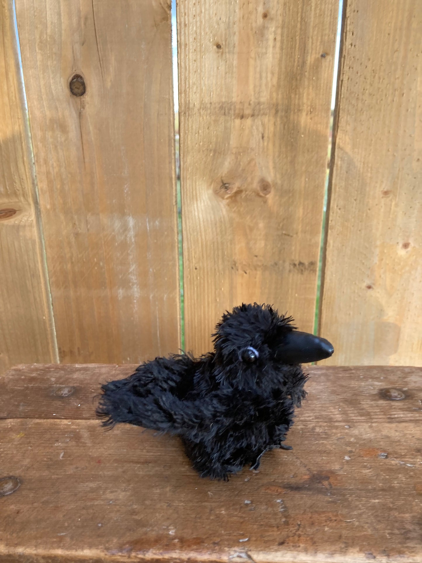 Marionnette à doigt peluche - RAVEN