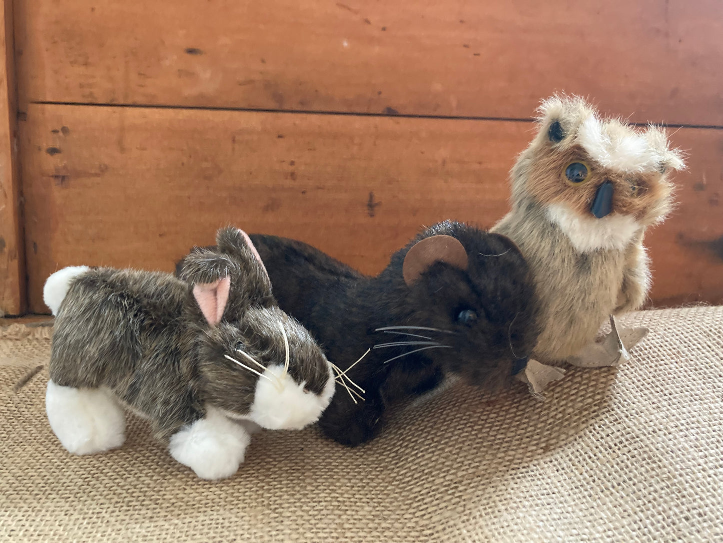 Marionnette à doigt en peluche - LAPIN À QUEUE DE COTON