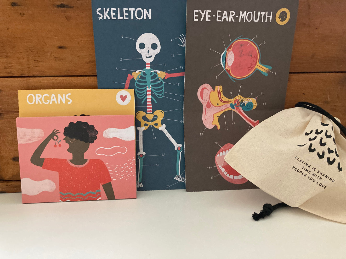Educational Game Set - INSIDE ME