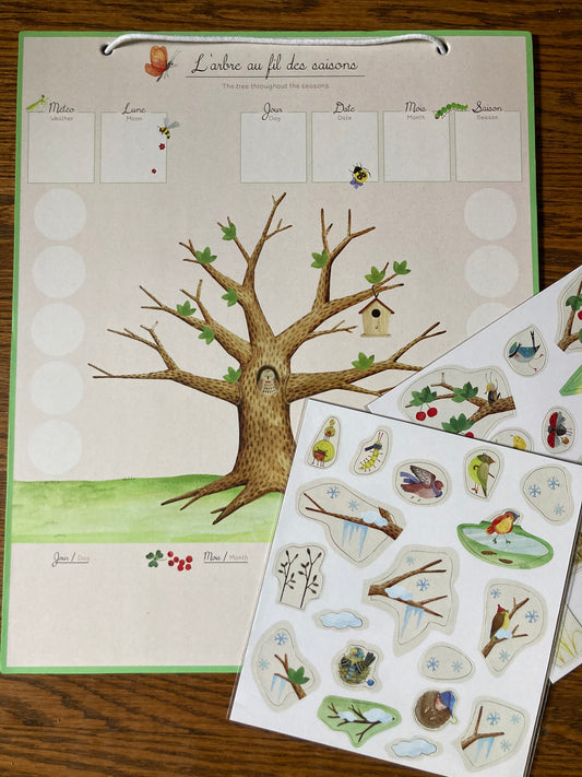 Educational Resource - TREE THROUGHOUT THE SEASONS, a seasonal calendar!
