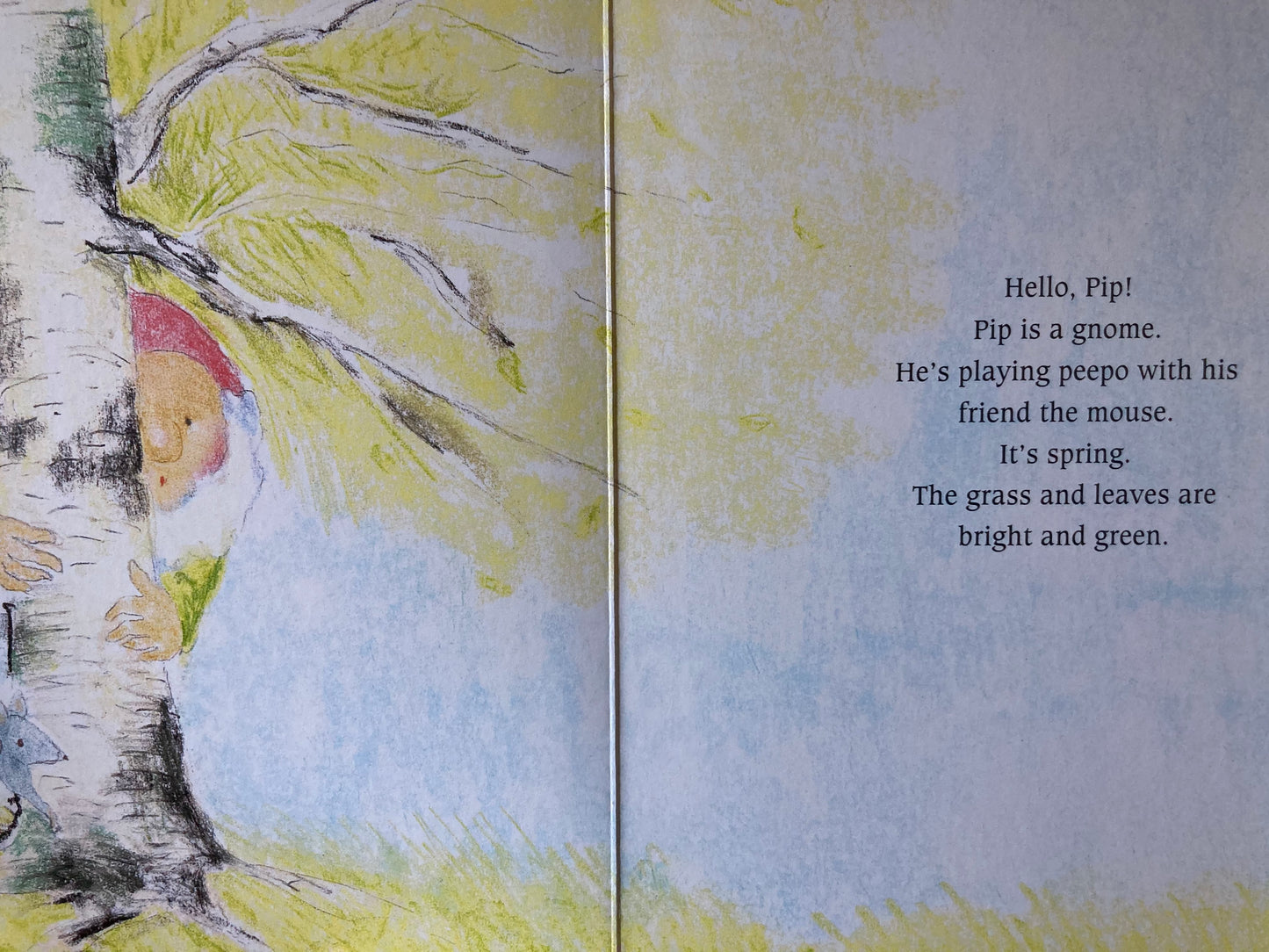 Livre cartonné, Bébé - PIP THE GNOME BOOKS