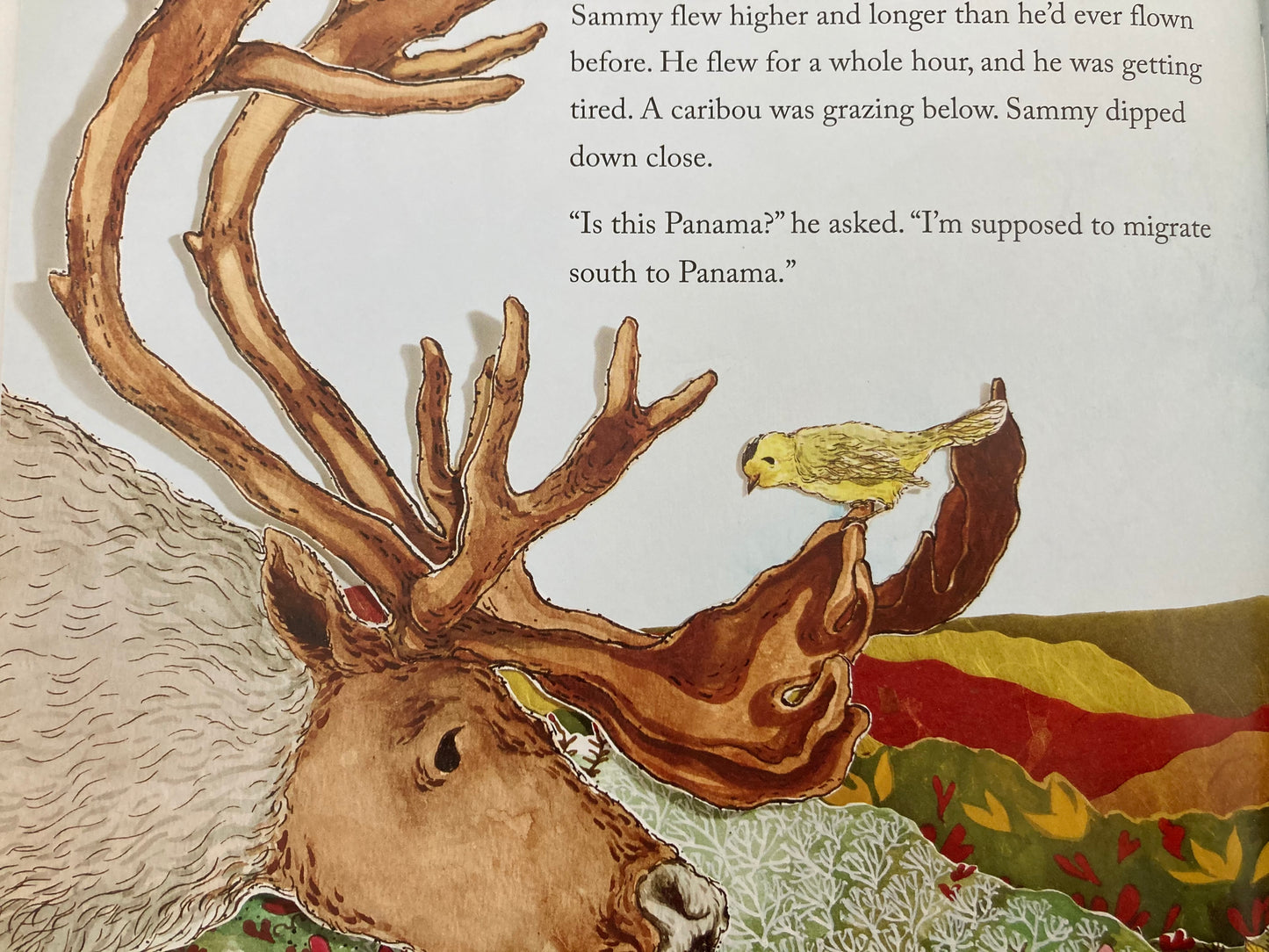 Children’s Picture Book - IS THIS PANAMA? (A Migration Story)