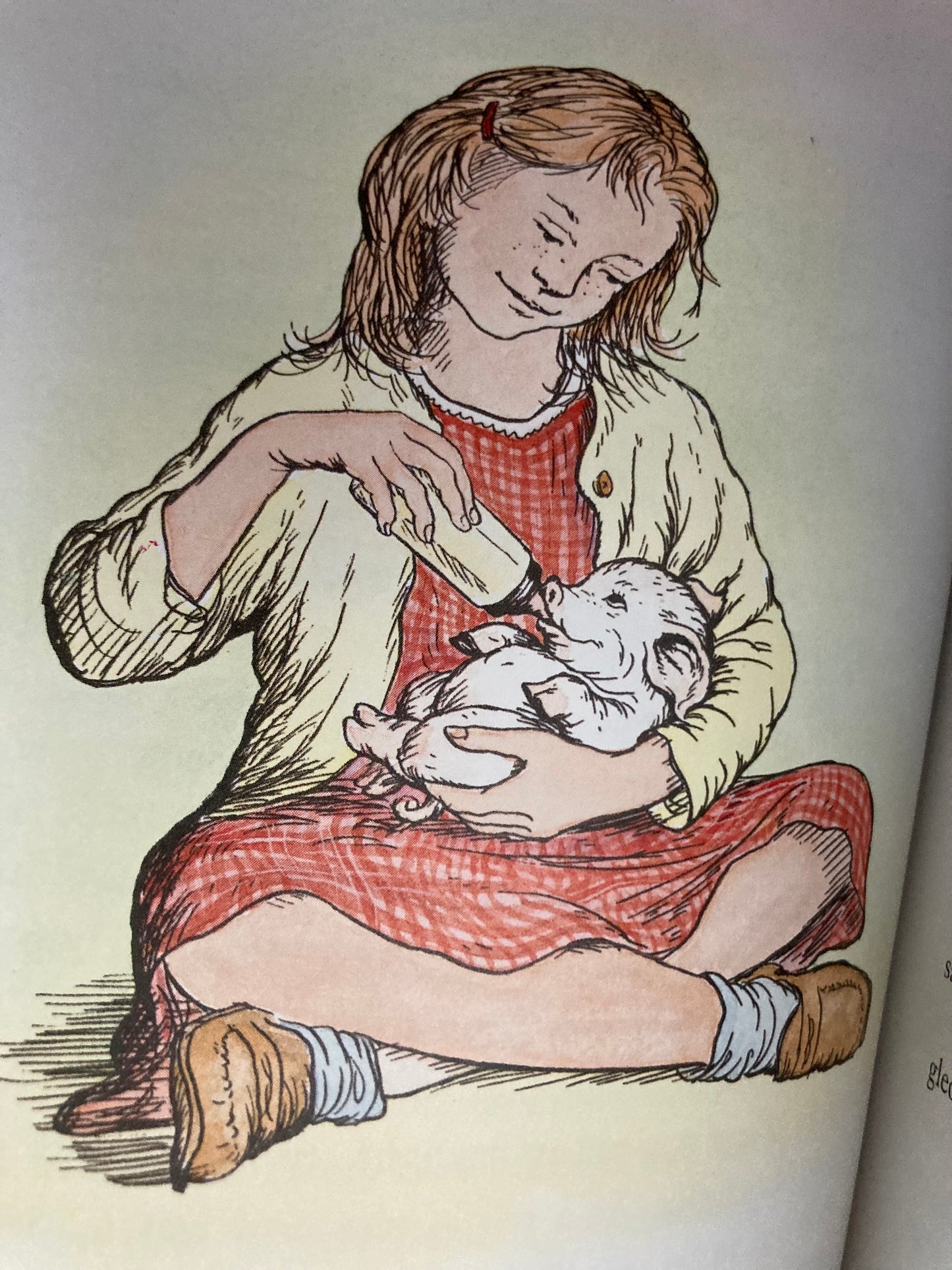 Chapter Book for Young Readers - CHARLOTTE'S WEB