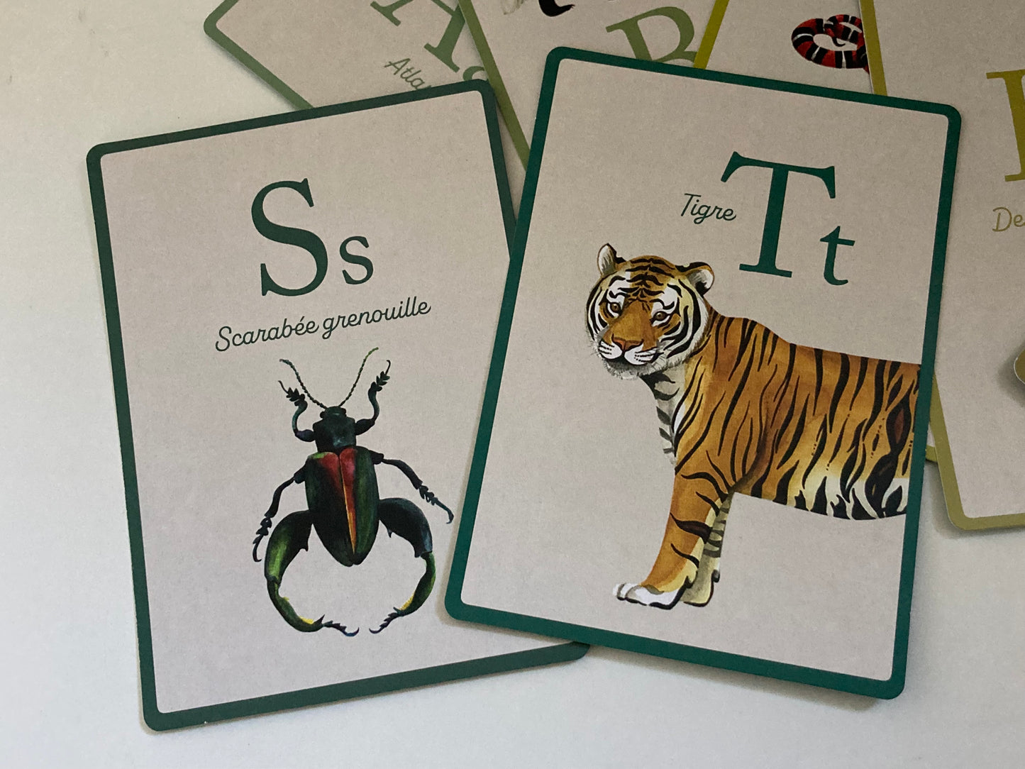 Educational Cards - ANIMAL ALPHABET ... in FRENCH!