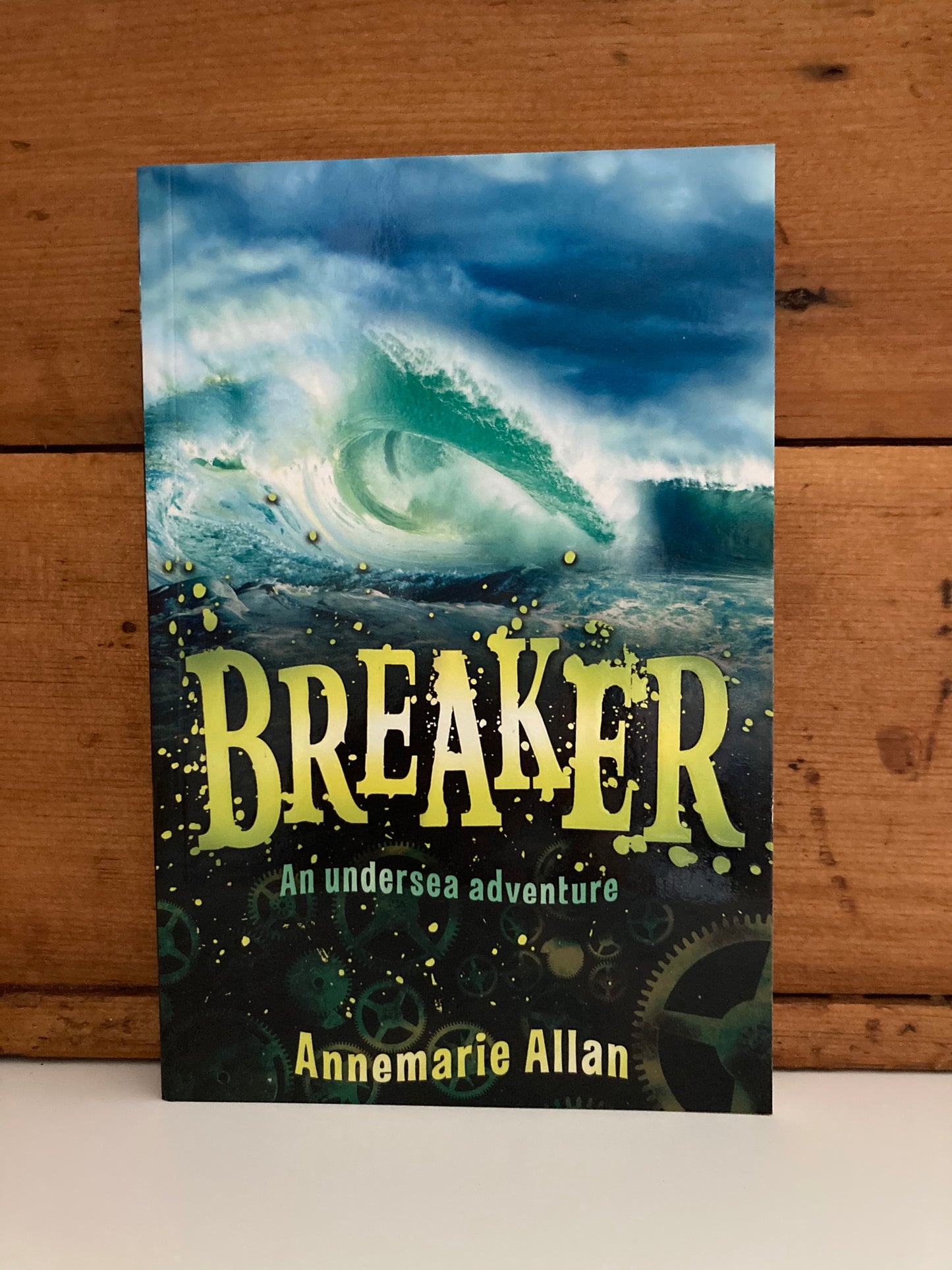 Livres de chapitres pour lecteurs plus âgés - BREAKER ou HOX