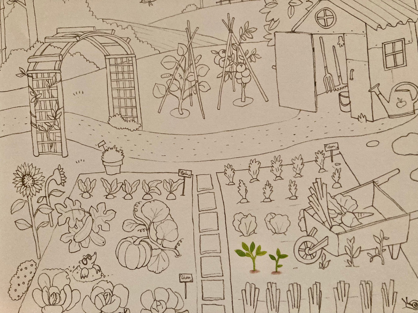 Art Activity Set - GARDENING BOOK, Colouring & more!