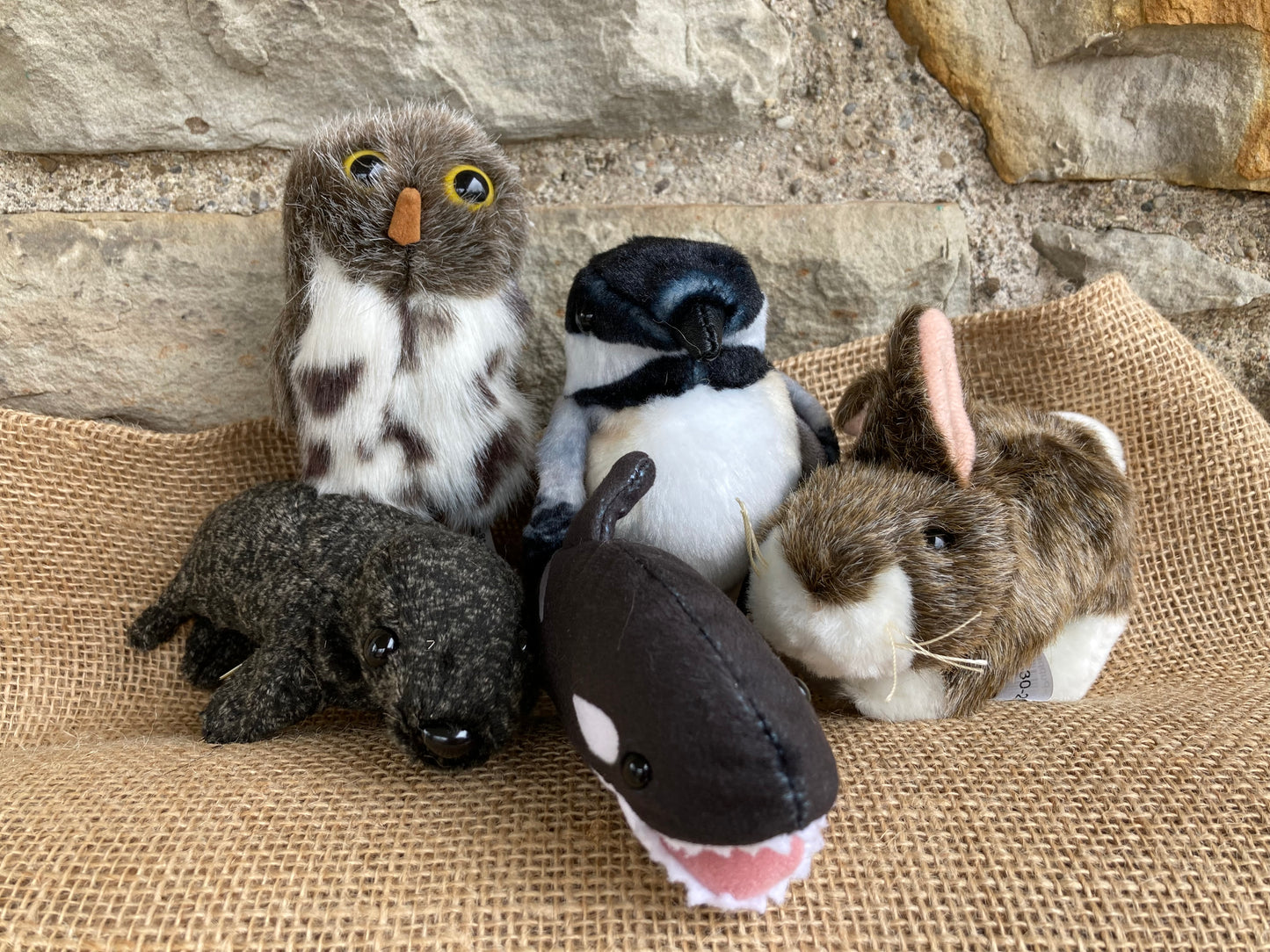 Soft Mini Puppet Set - WILD ANIMALS of the PACIFIC COAST of BRITISH COLUMBIA