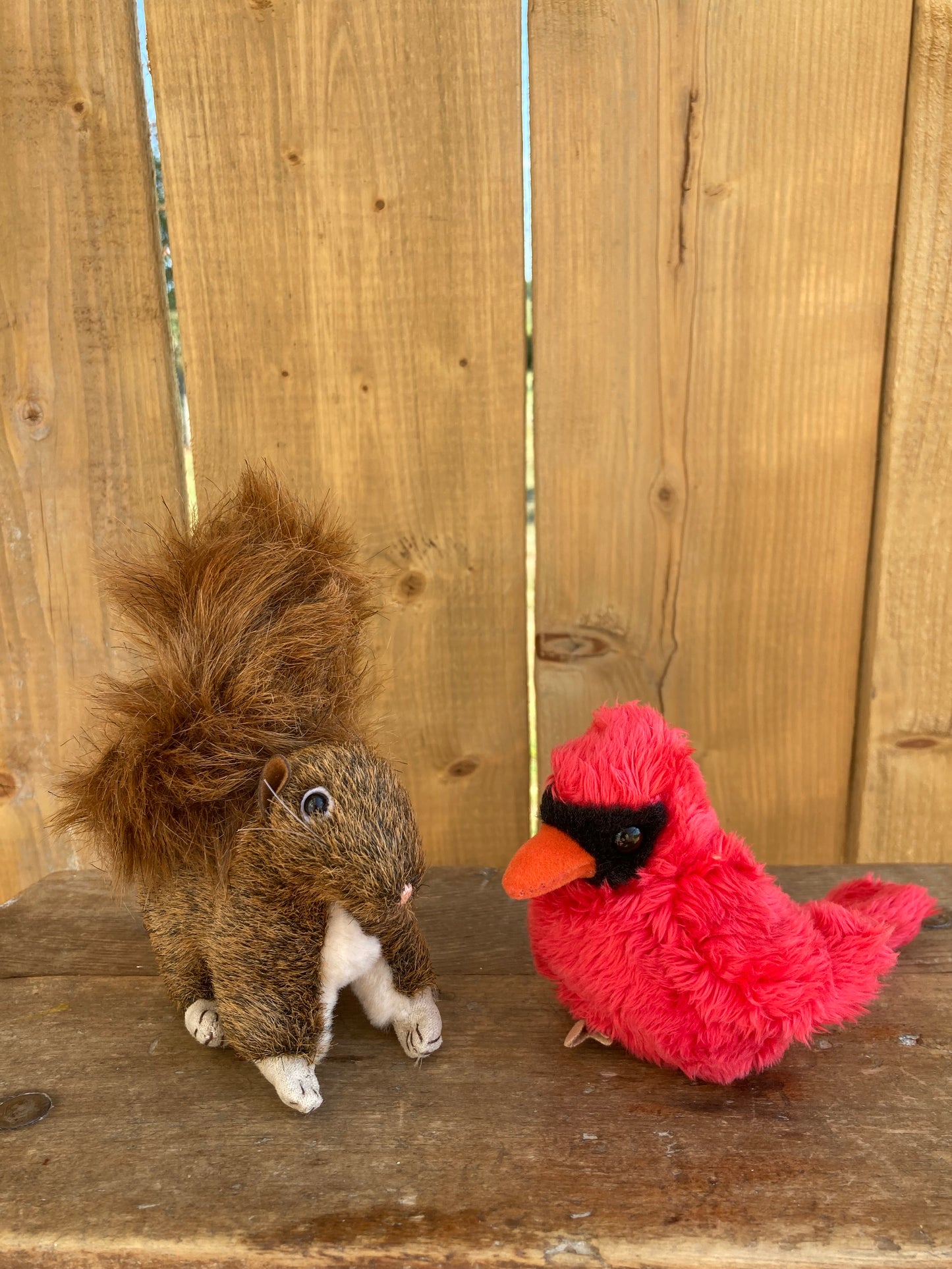 Marionnette à doigt peluche - CARDINAL