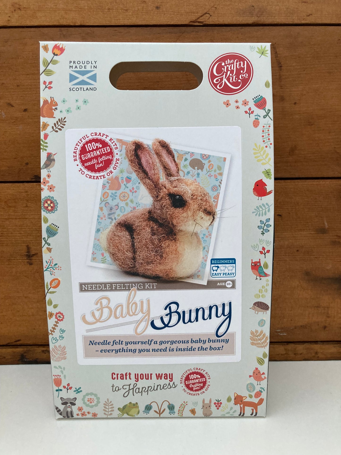 Crafting Kits, Art - Wool BABY BUNNY, Needle Felting Kit