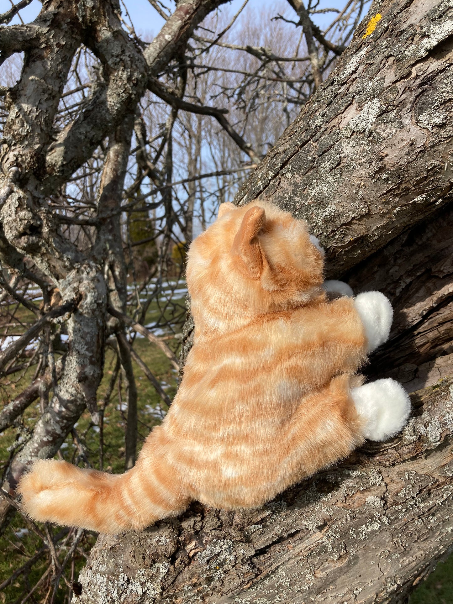 Marionnette douce pour animaux de compagnie - Marionnette à main CHATON TABBY ORANGE