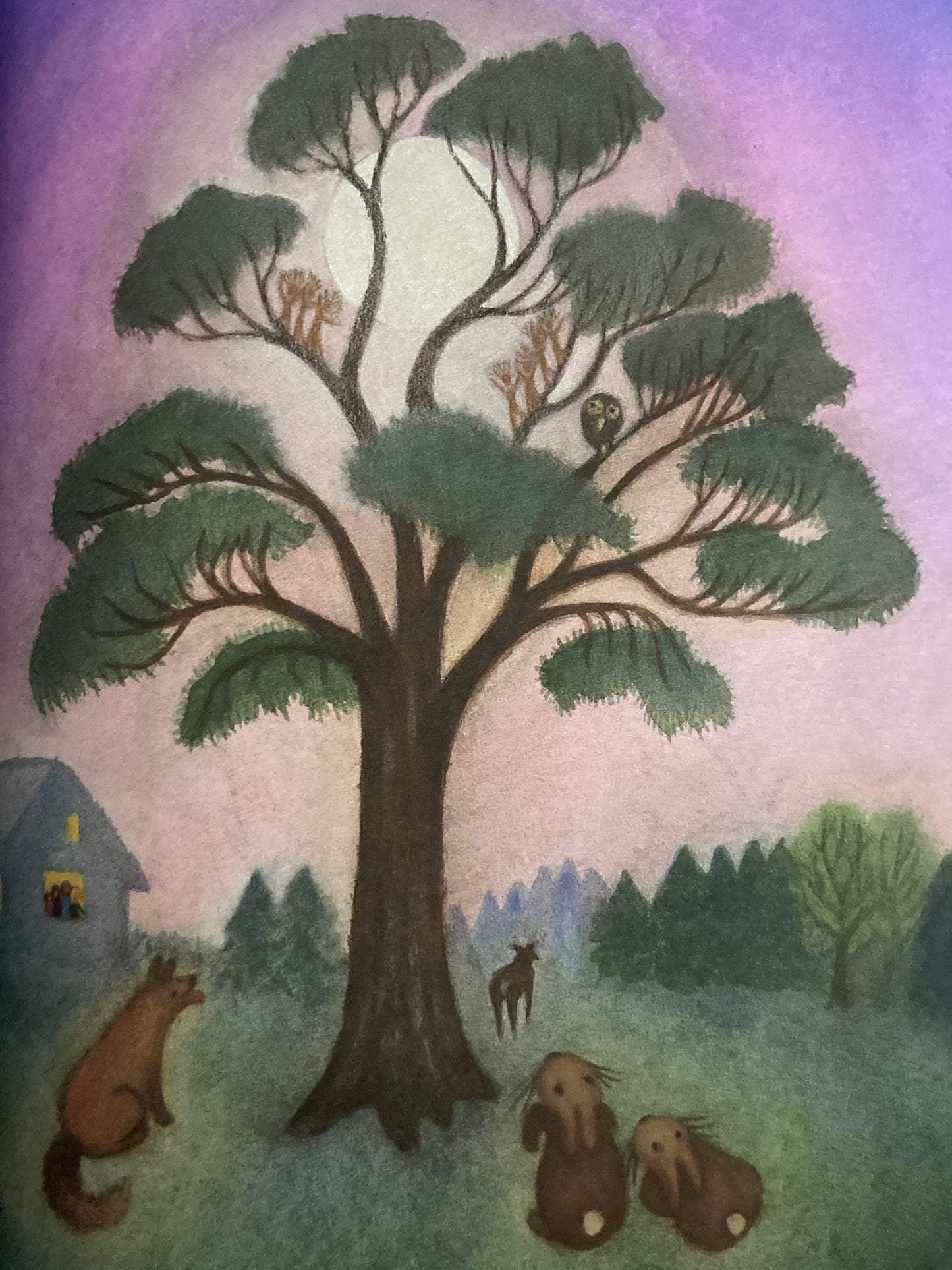 Livre d'images pour enfants - LES NOEUDS