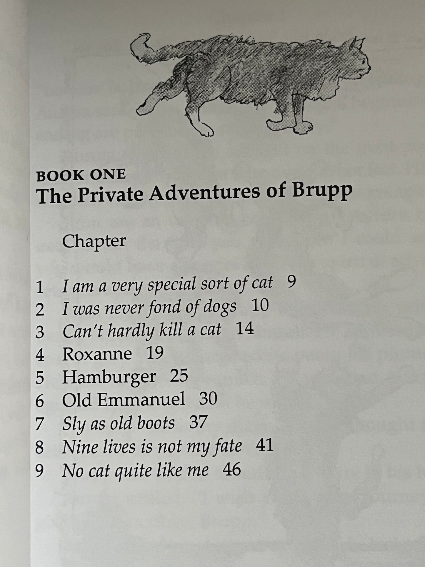 Chapter Book for Young Readers - ADVENTURES OF AN ISLAND CAT NAMED BRUPP