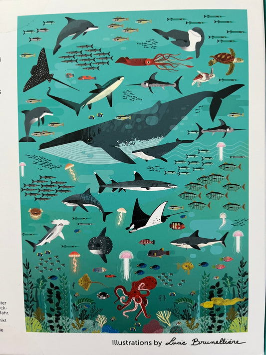 Activity Set - OCEAN POSTER with removable STICKERS!