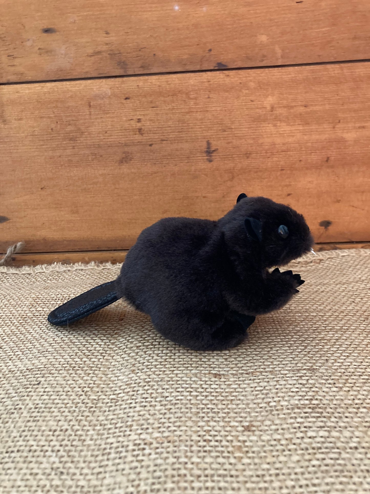 Marionnette à doigt peluche - CASTOR