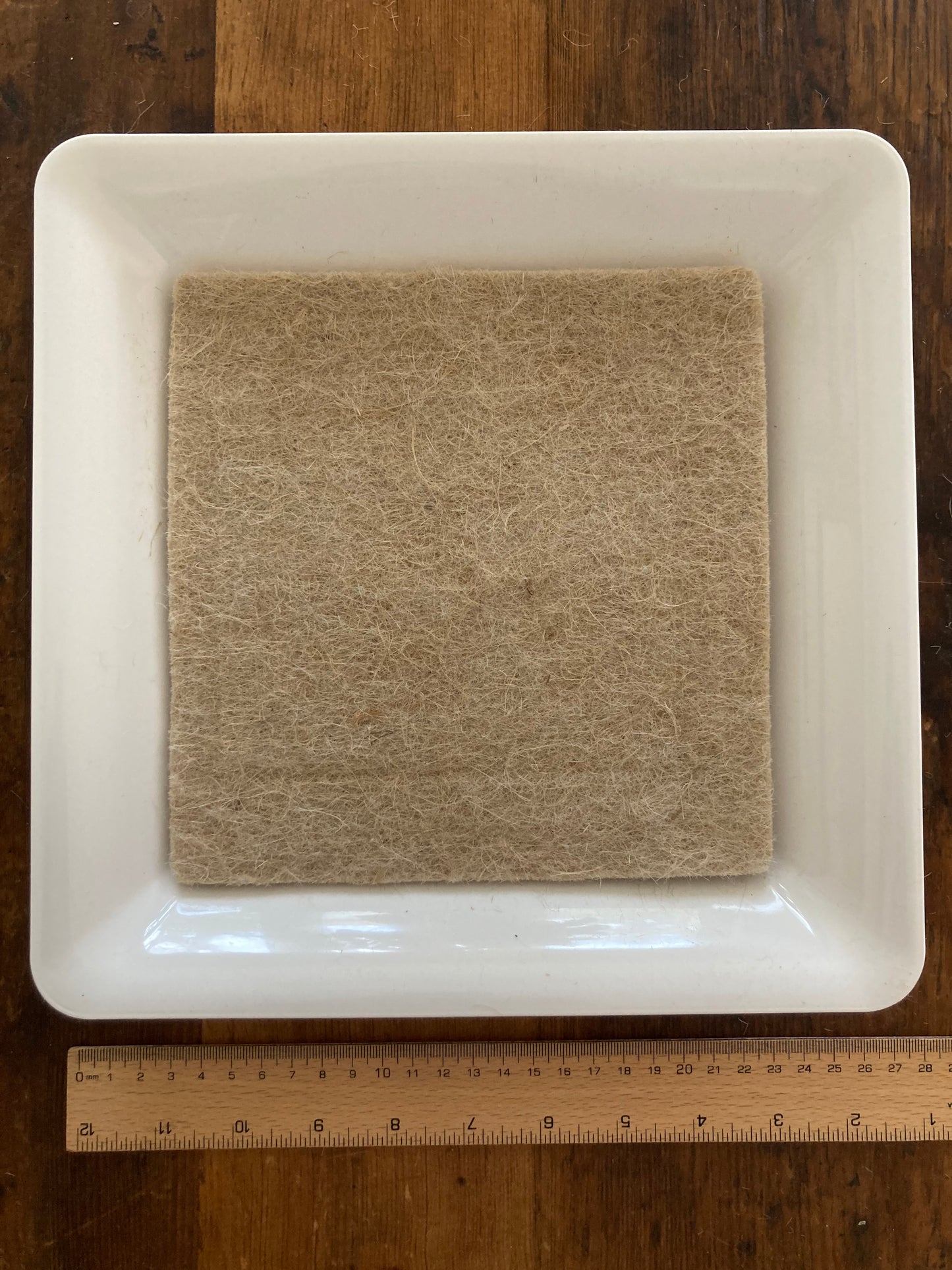 KIT DE DÉMARRAGE DE SEMENCES Ensemble avec 4 PADS SUPPLÉMENTAIRES (Tout ce dont vous avez besoin)