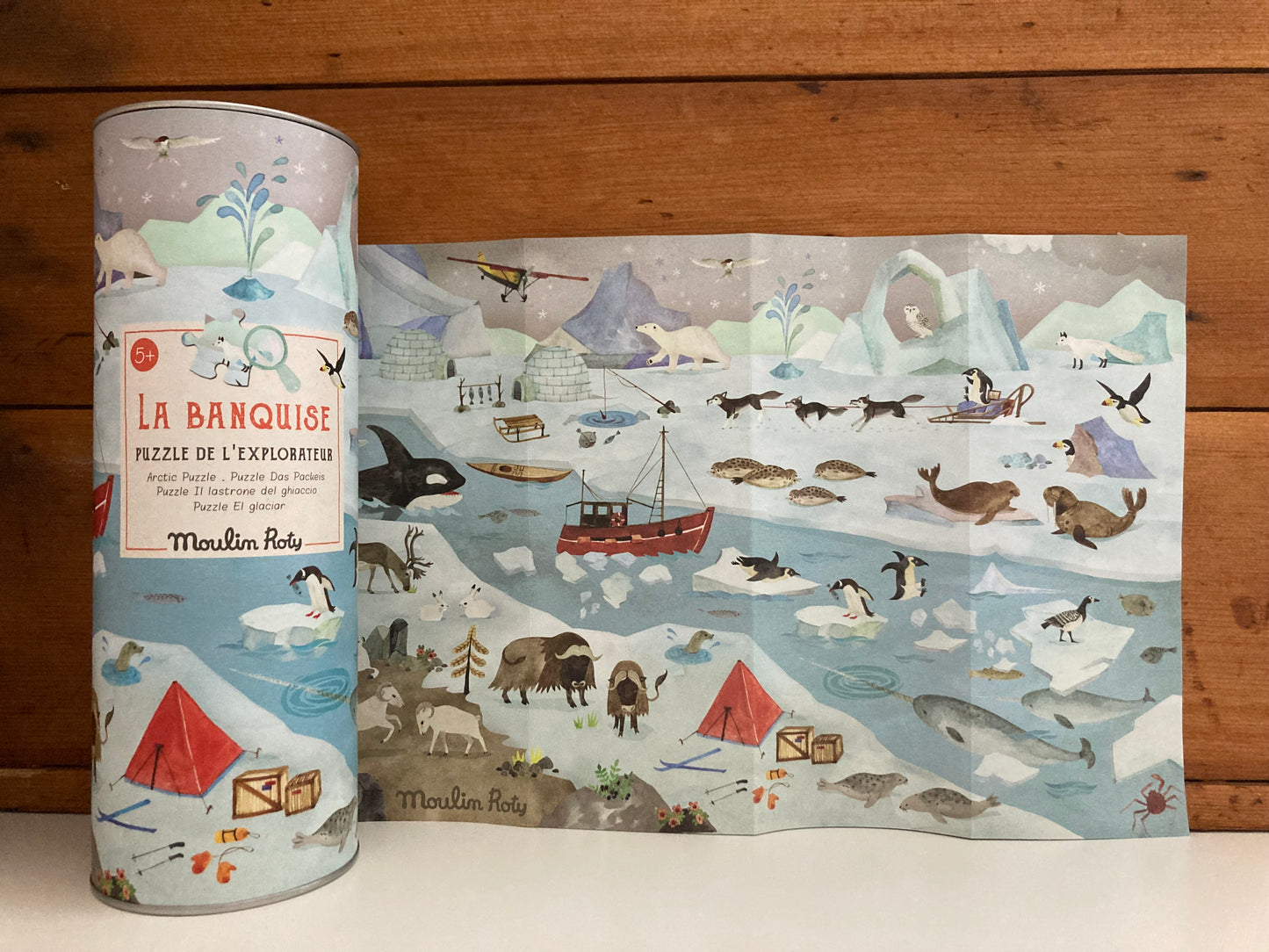 Ensemble de puzzles - EXPLOREZ L'ARCTIQUE