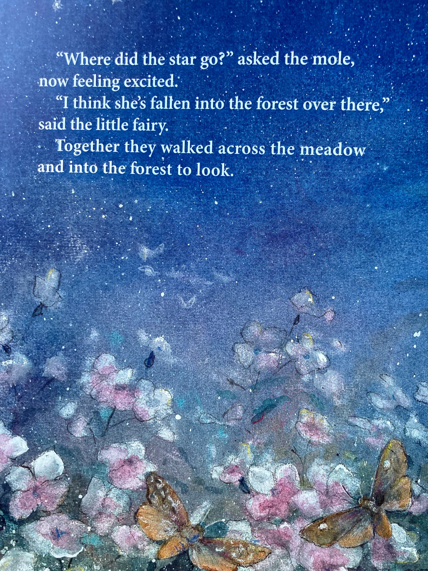 Children's Picture Book - LITTLE FAIRY MAKES A WISH