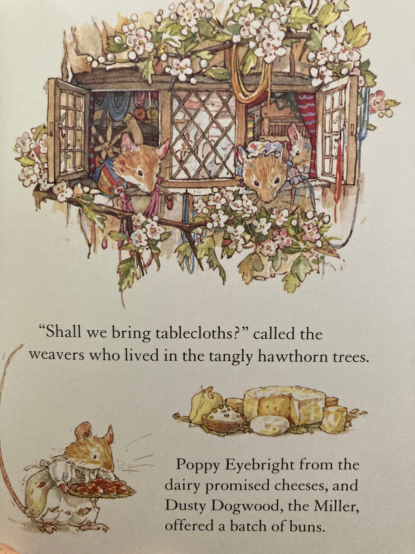 Livre d'images pour enfants - HISTOIRE PRINTANIÈRE DES SOURIS DE BRAMBLY HEDGE