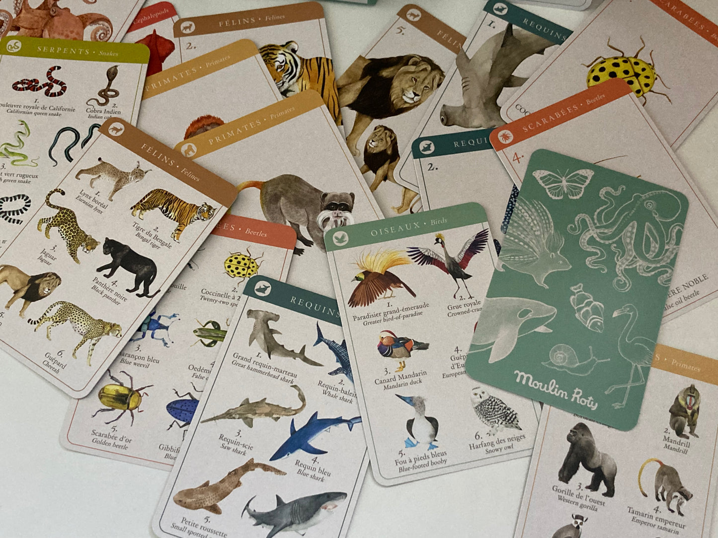 Educational Card Game - ANIMAL FAMILIES, in French & English!