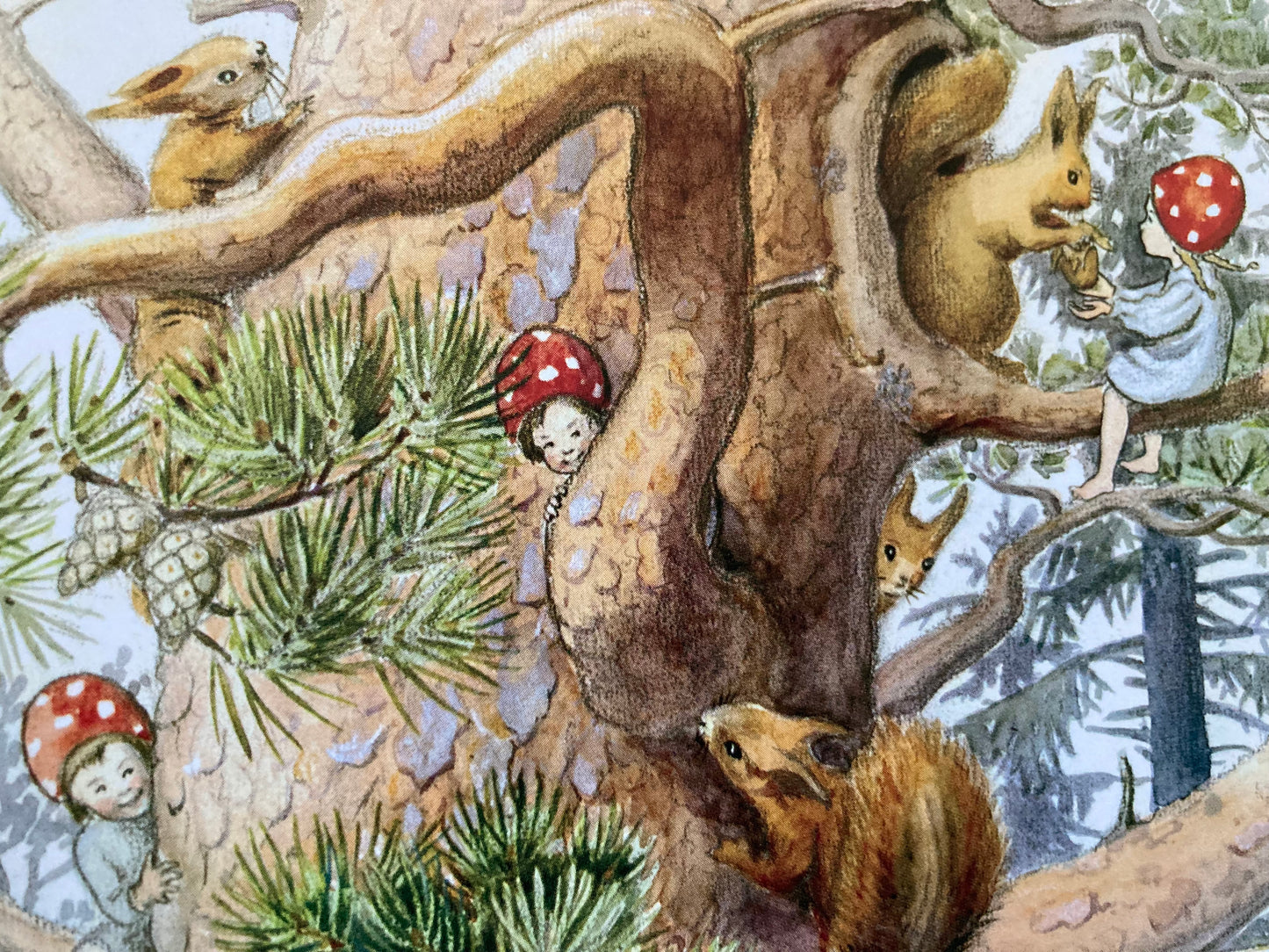 Children's Picture Book - CHILDREN OF THE FOREST