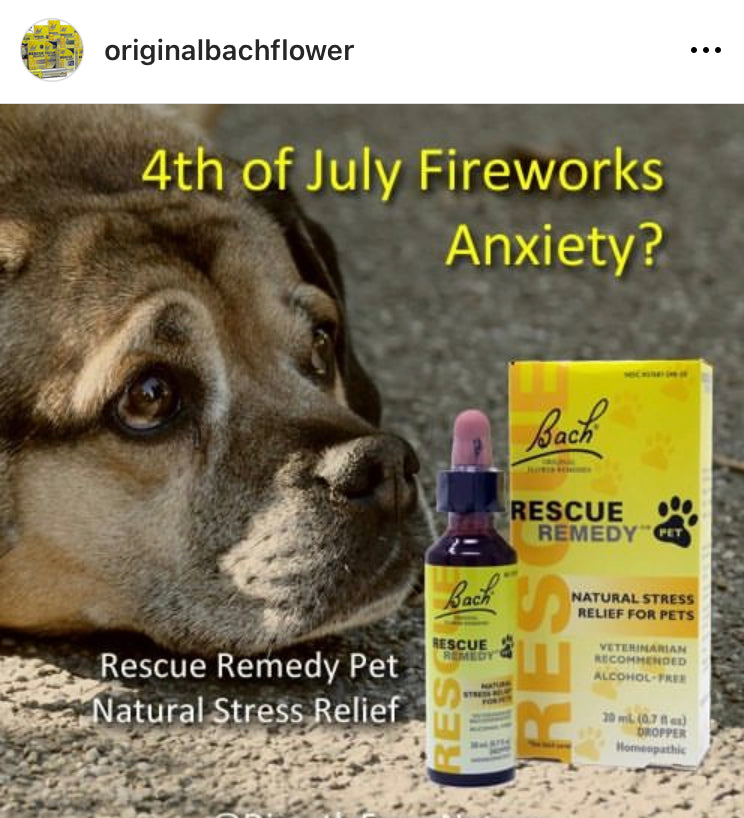Pet Holistic Health - RESCUE REMEDY TONIC