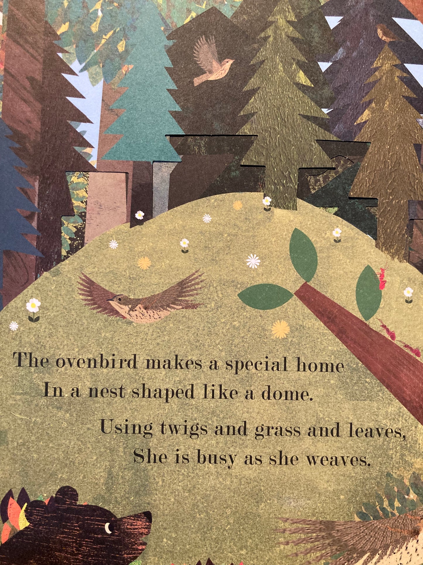 Children’s Picture Book - HOME (with peek-through cutouts!)