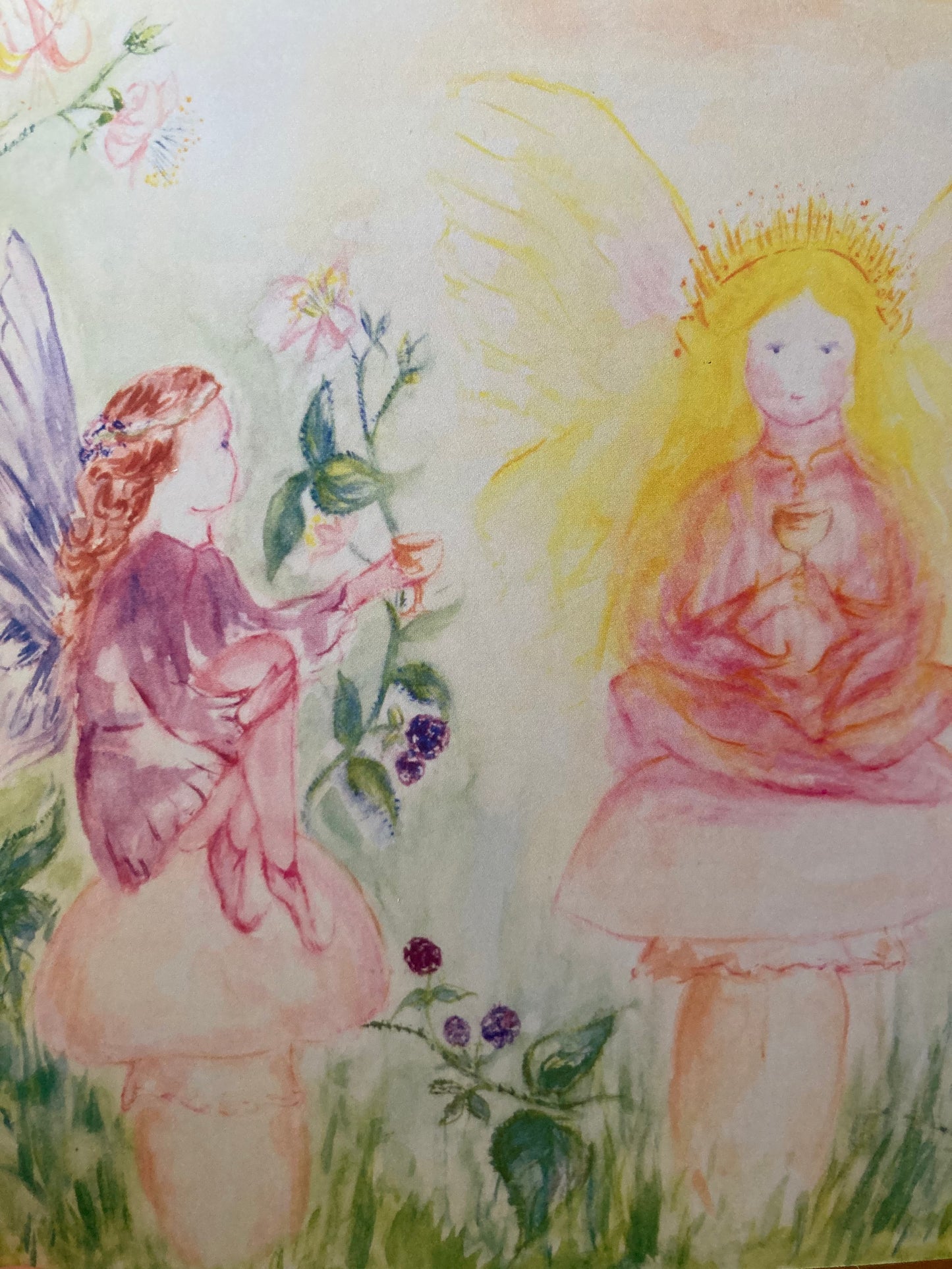 Livre d'images pour enfants - À LA RECHERCHE D'UNE FÉE