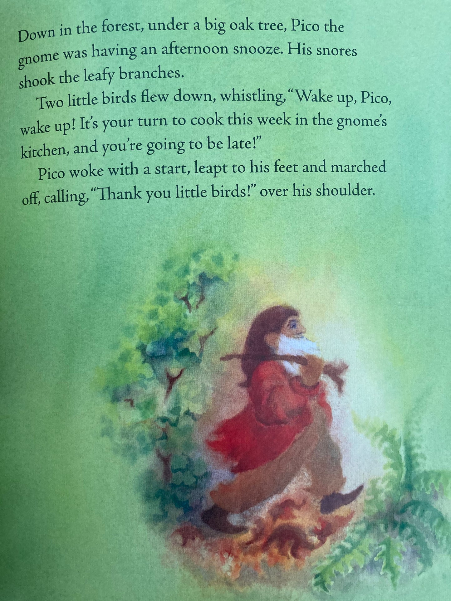 Livre d'images pour enfants, lecteur précoce - PICO LE GNOME