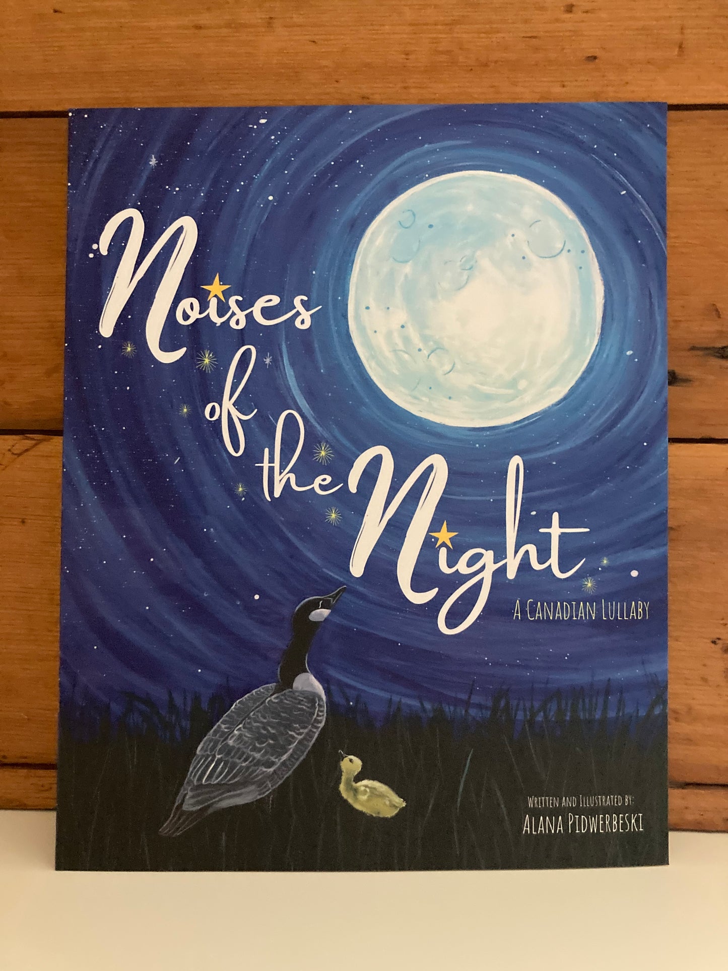 Livre d'images pour enfants - BRUITS de la NUIT