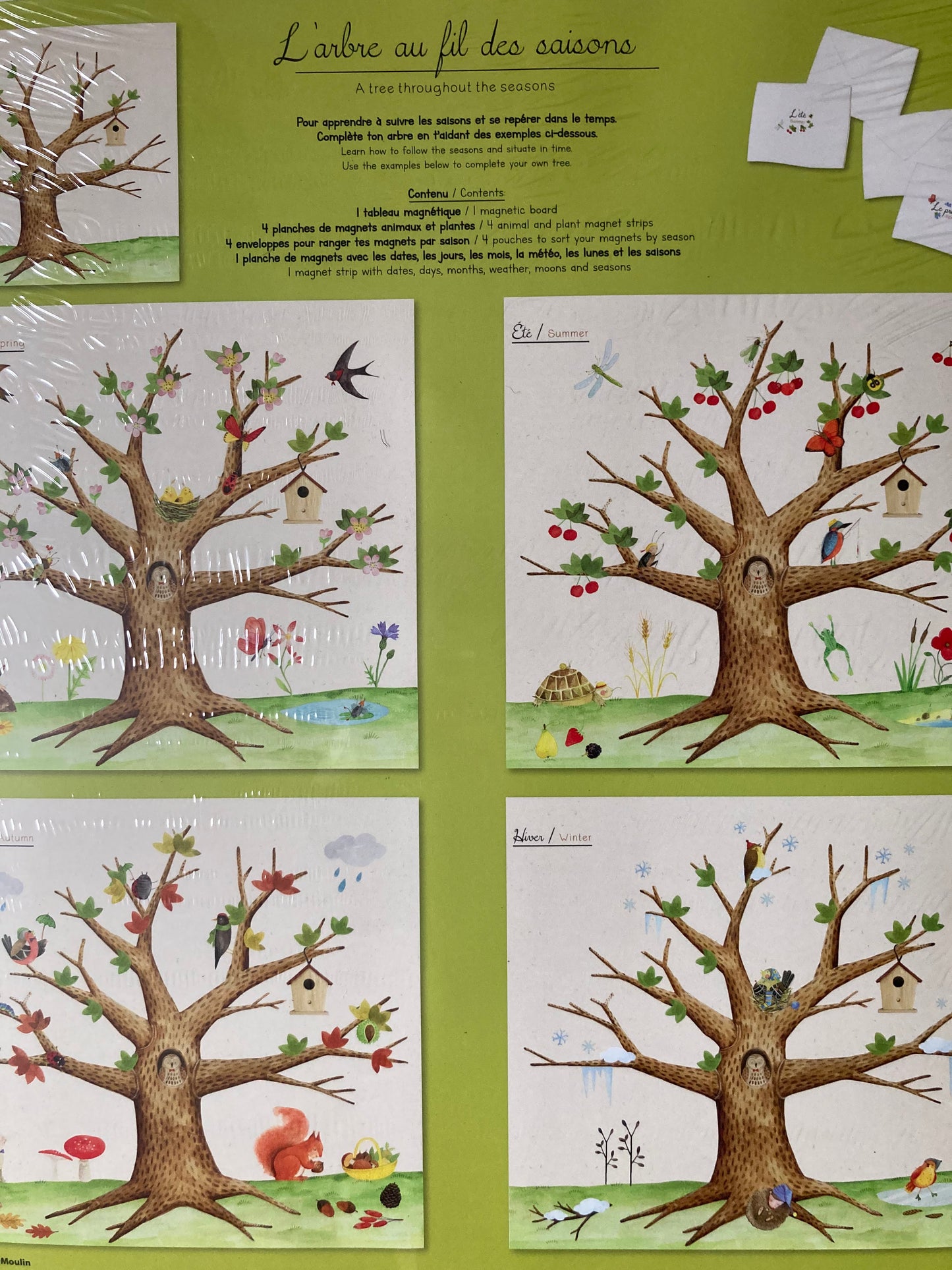 Educational Resource - TREE THROUGHOUT THE SEASONS, a seasonal calendar!
