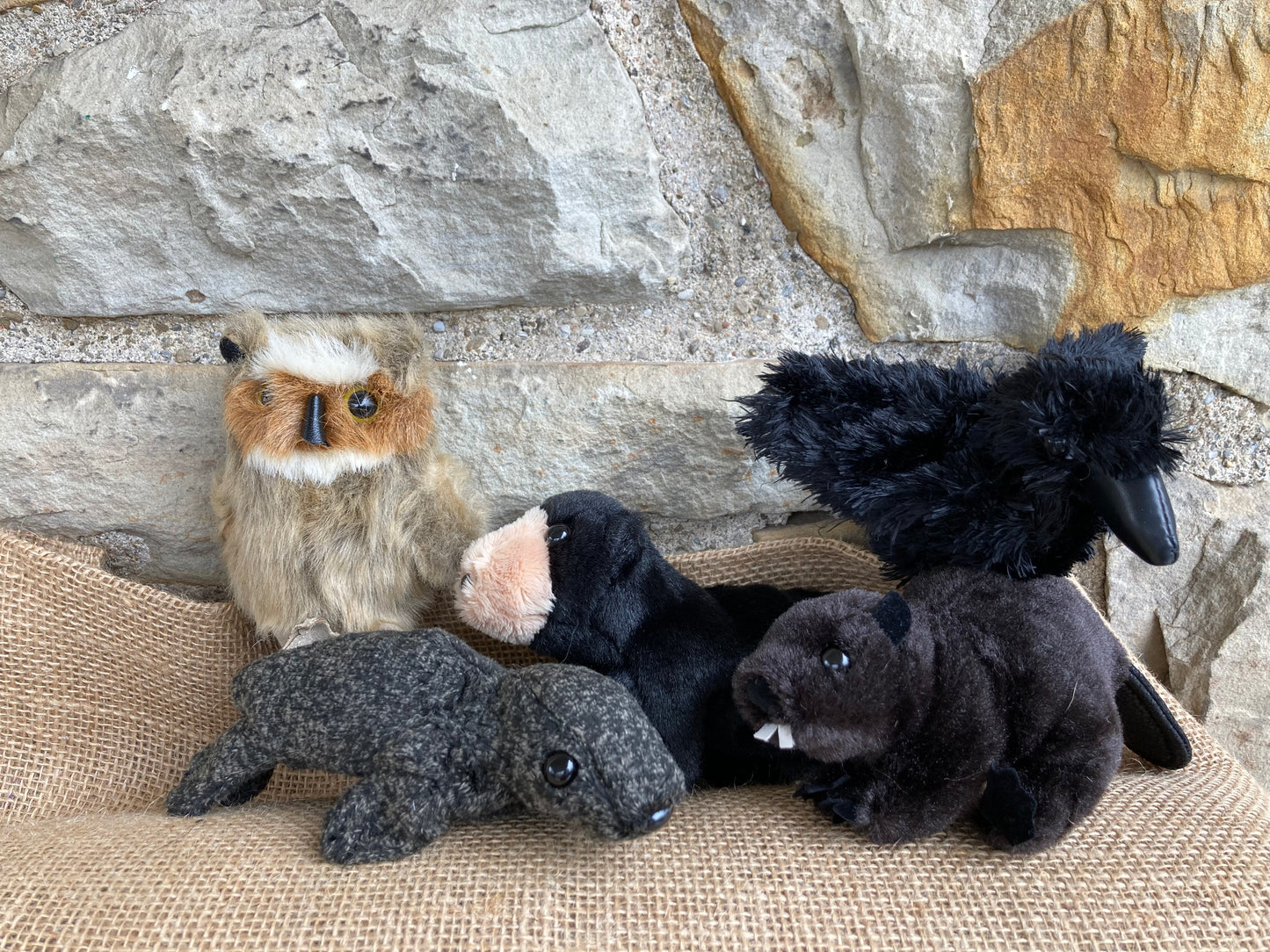 Soft Mini Puppet Set - WILD ANIMALS of HUDSON BAY