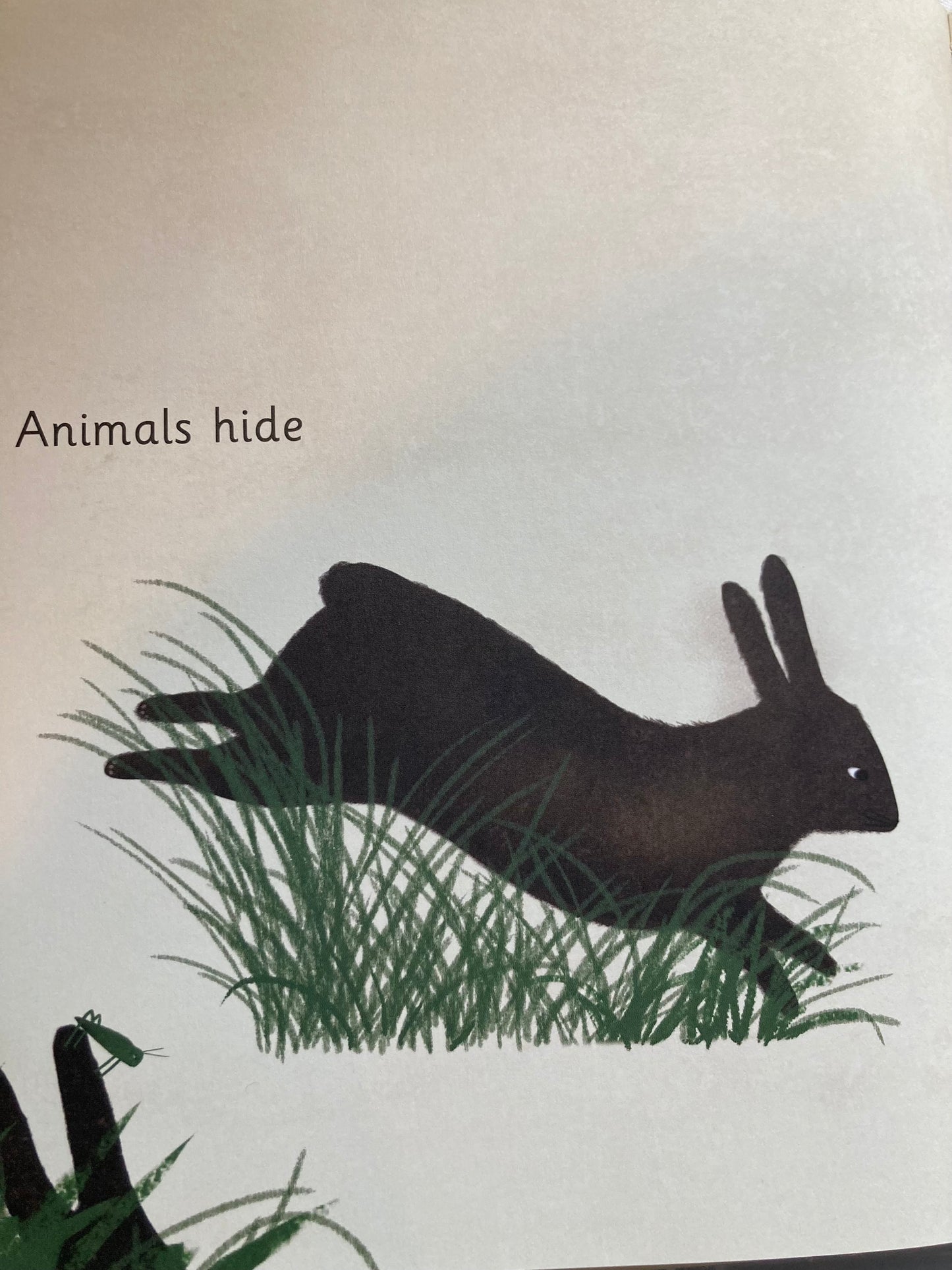 Children’s Picture Book - WE ALL PLAY