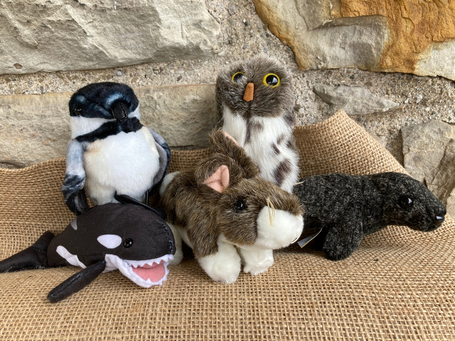 Soft Mini Puppet Set - WILD ANIMALS of the PACIFIC COAST of BRITISH COLUMBIA